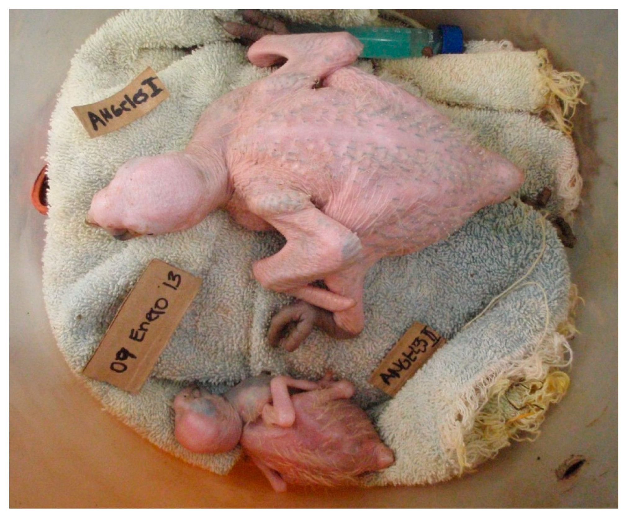 Diversity 16 00657 g003 Diversity 16 00657 g003