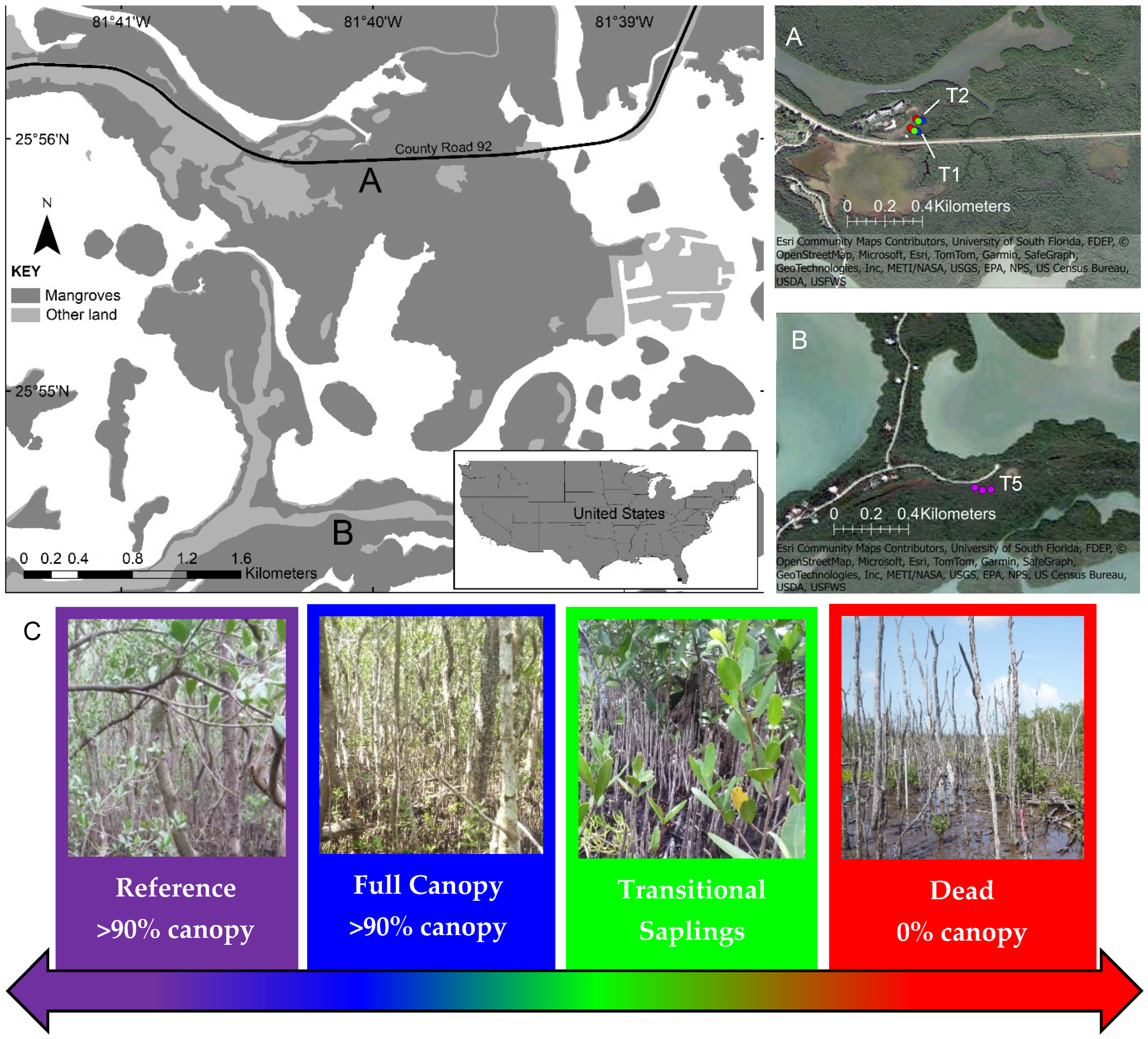 Diversity 16 00659 g002