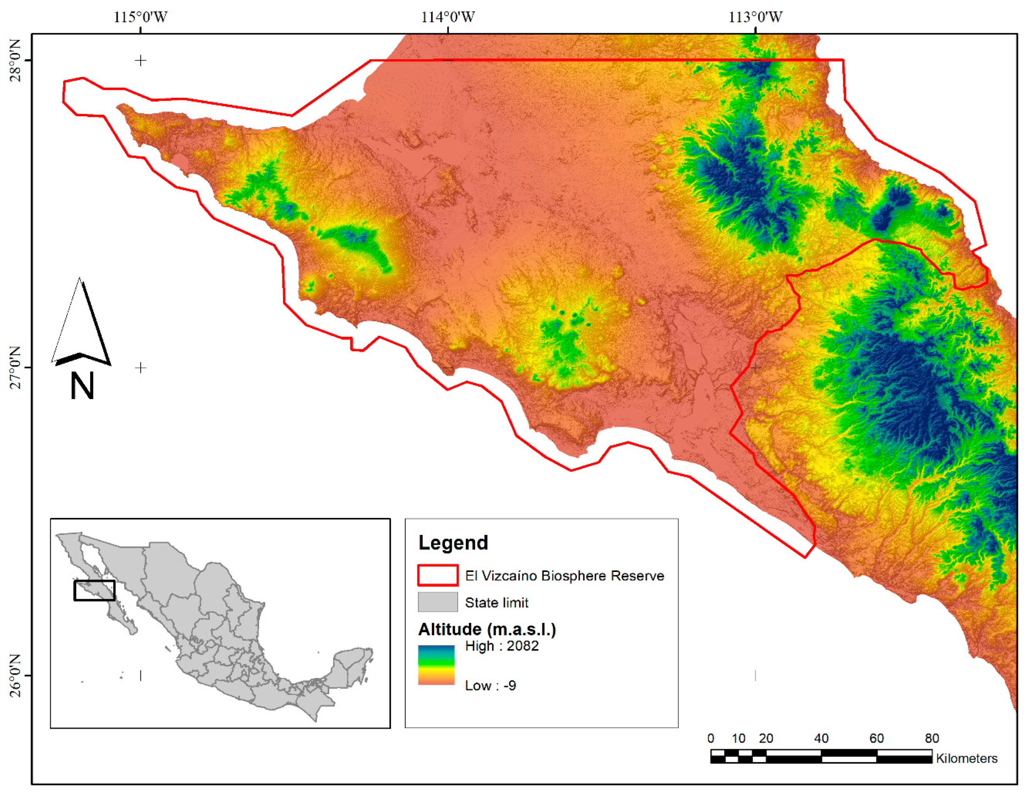 Diversity 16 00660 g001