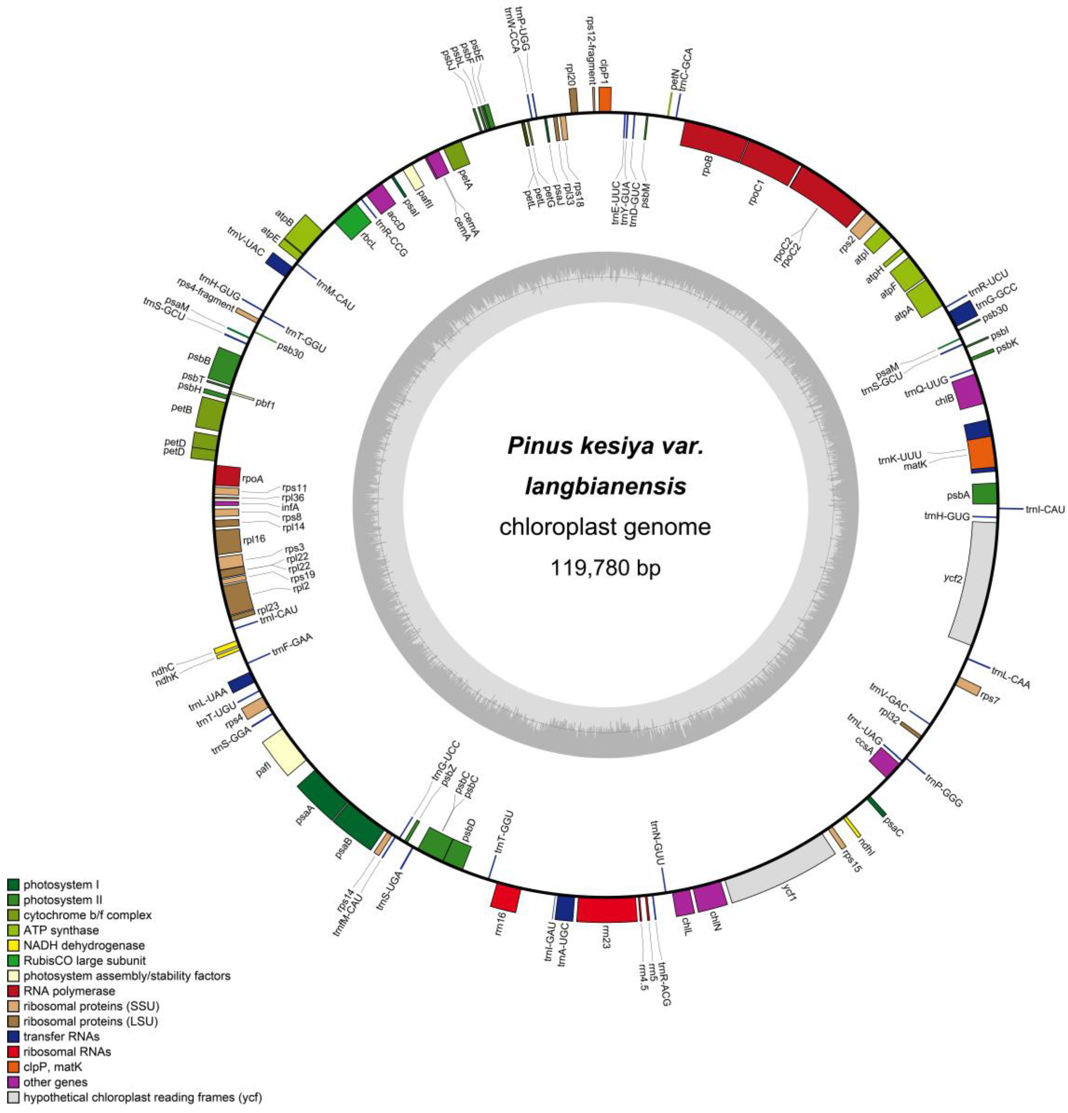 Diversity 16 00665 g001