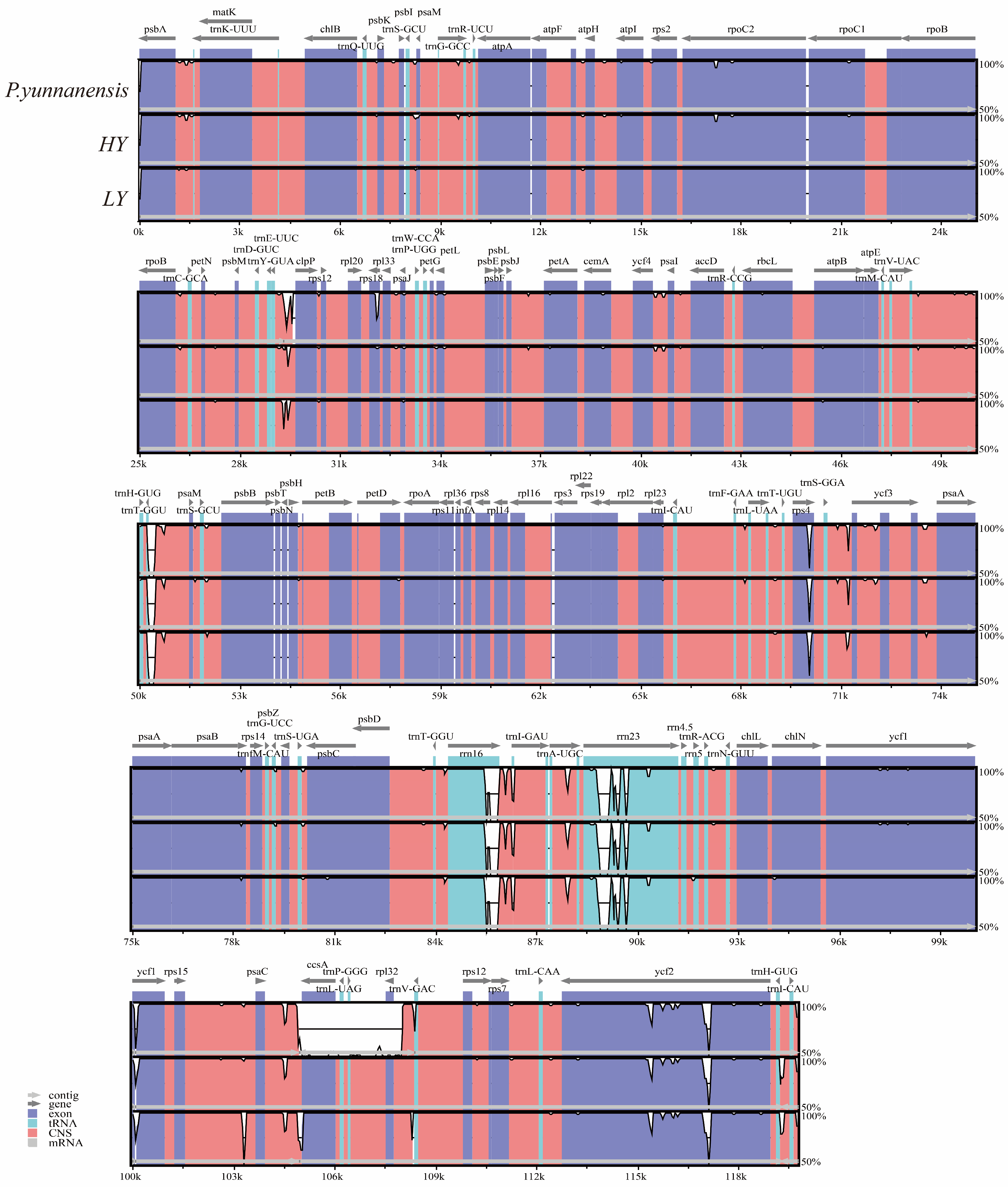 Diversity 16 00665 g005