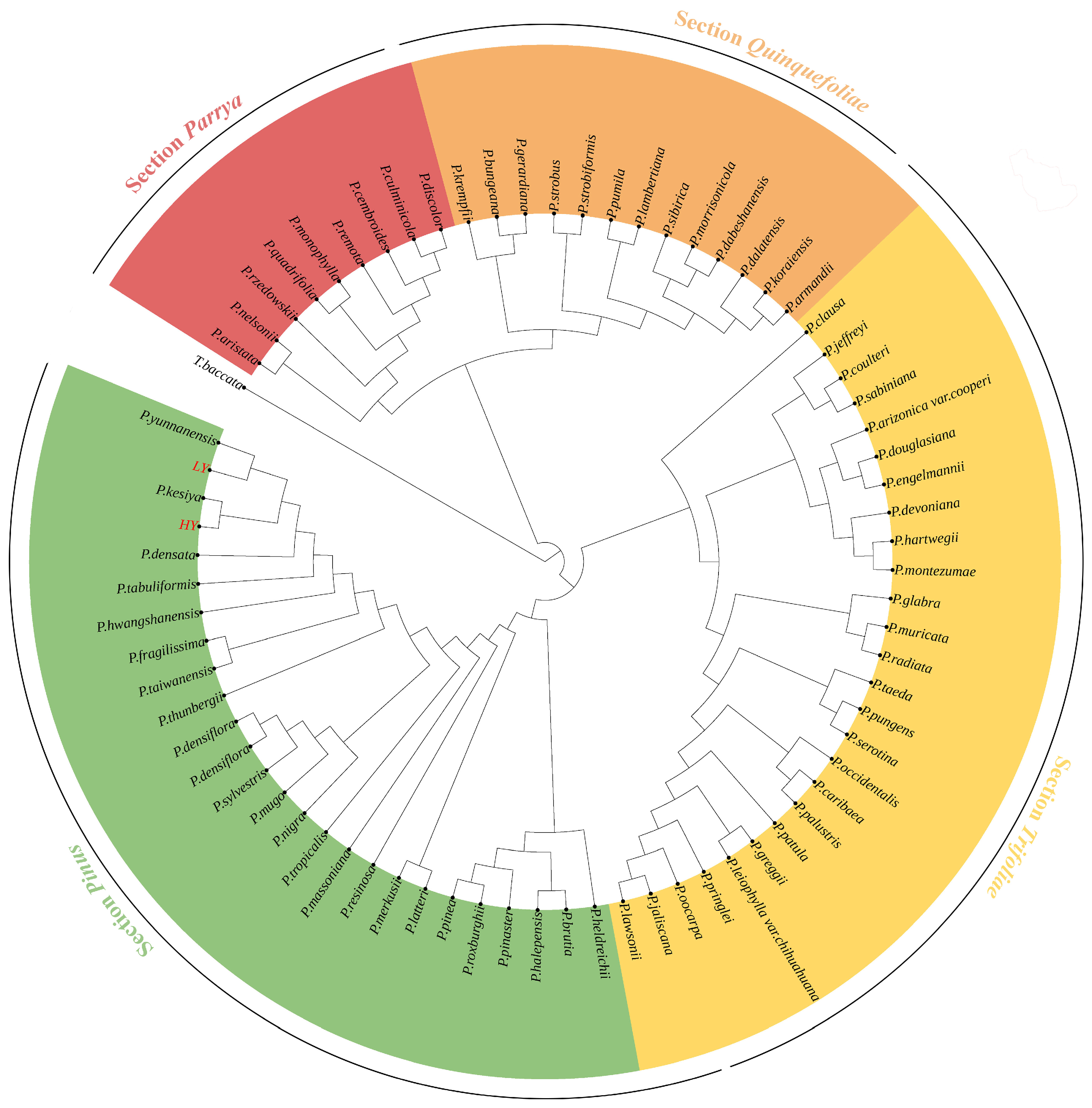 Diversity 16 00665 g007