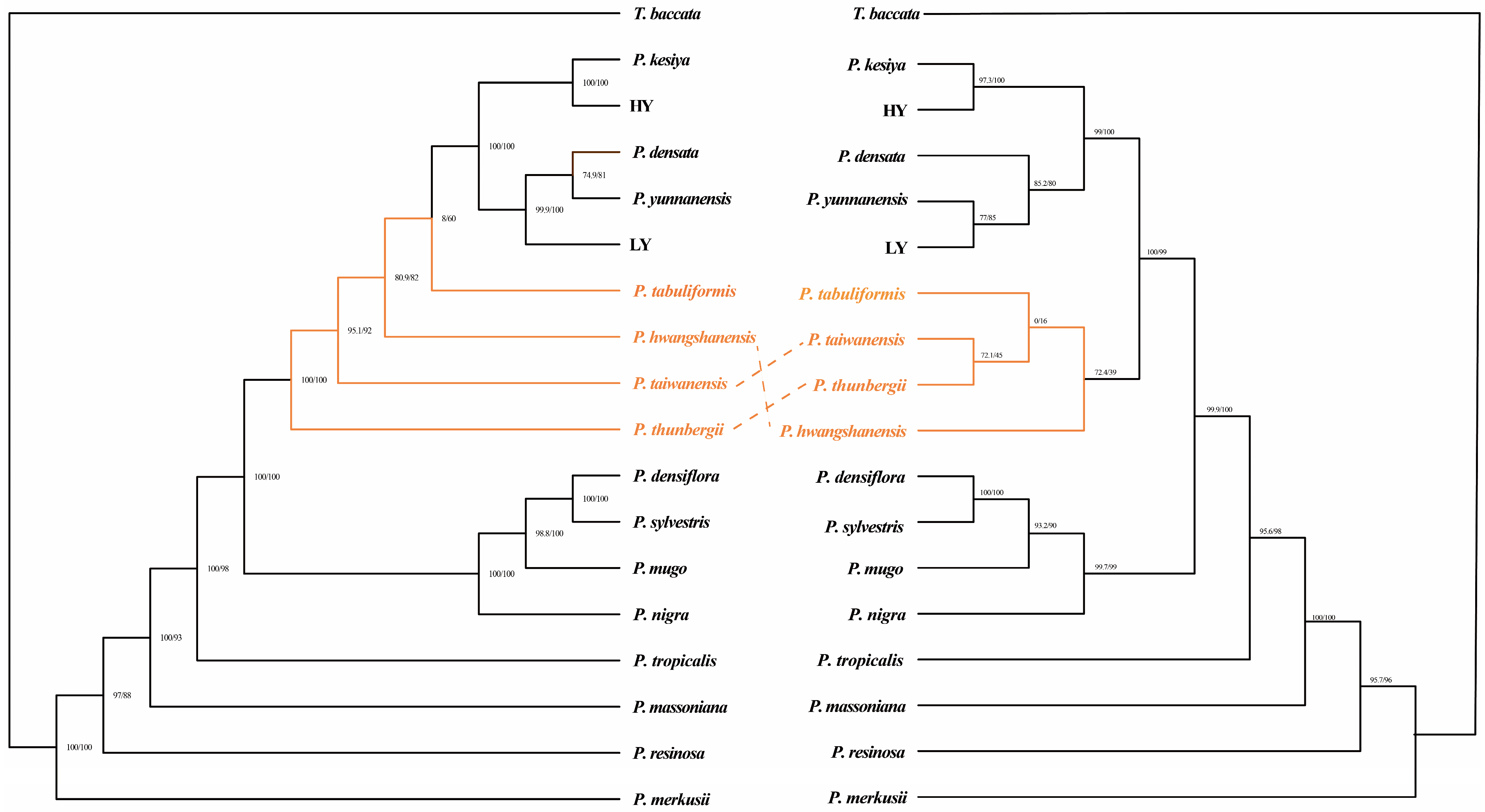 Diversity 16 00665 g008