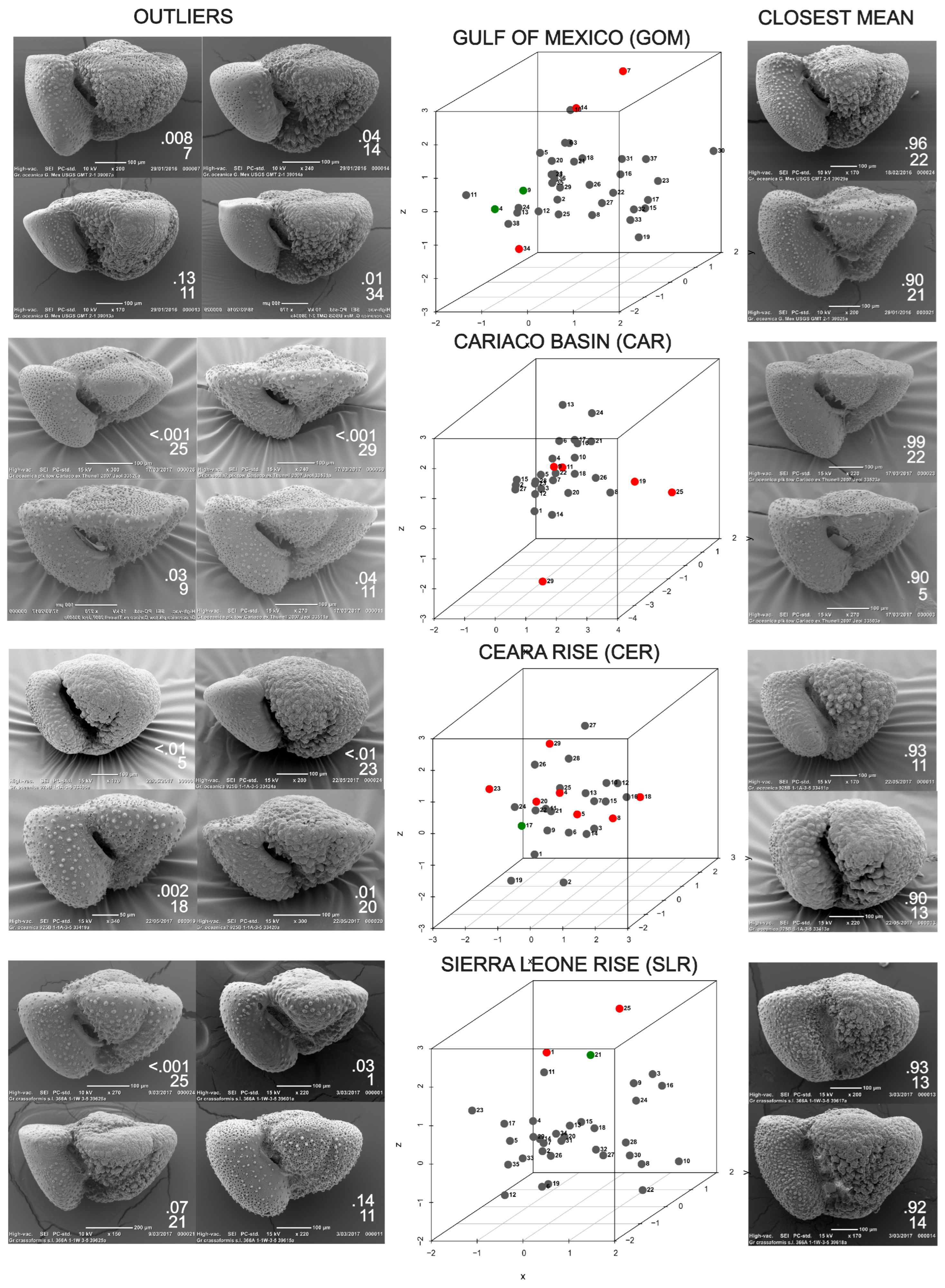 Diversity 16 00666 g003