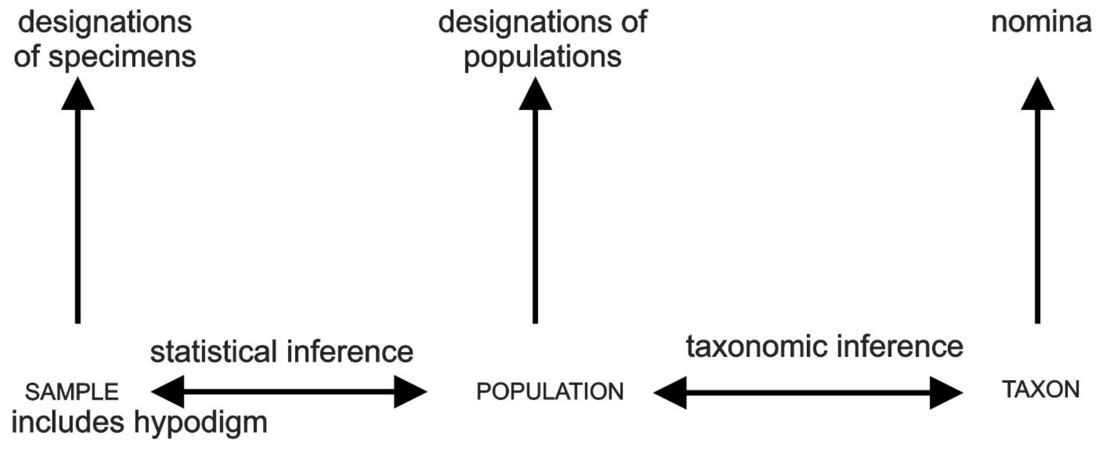 Diversity 16 00666 g005