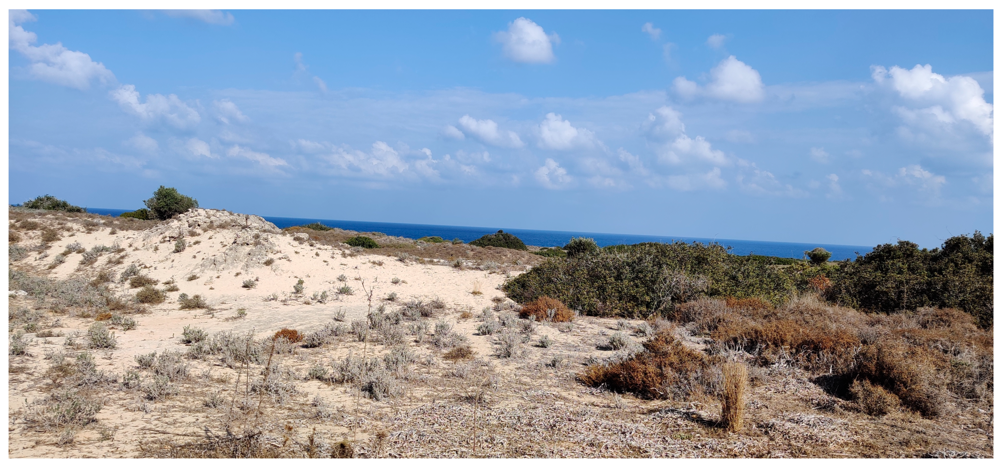 Diversity 16 00671 g002