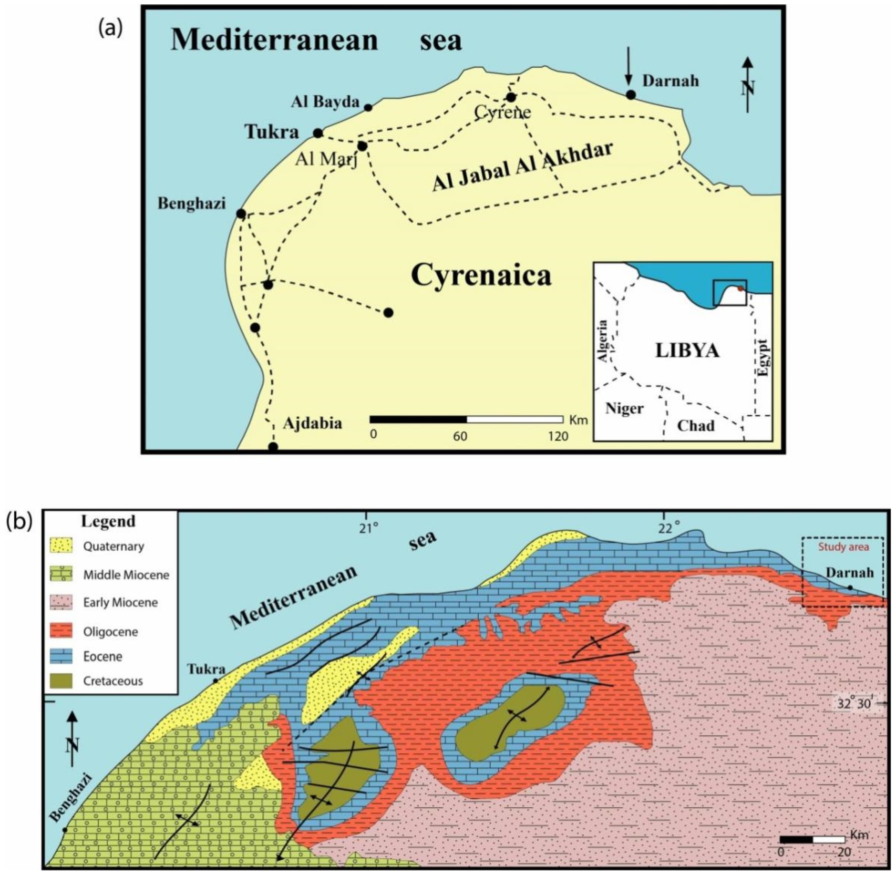 Diversity 16 00672 g001