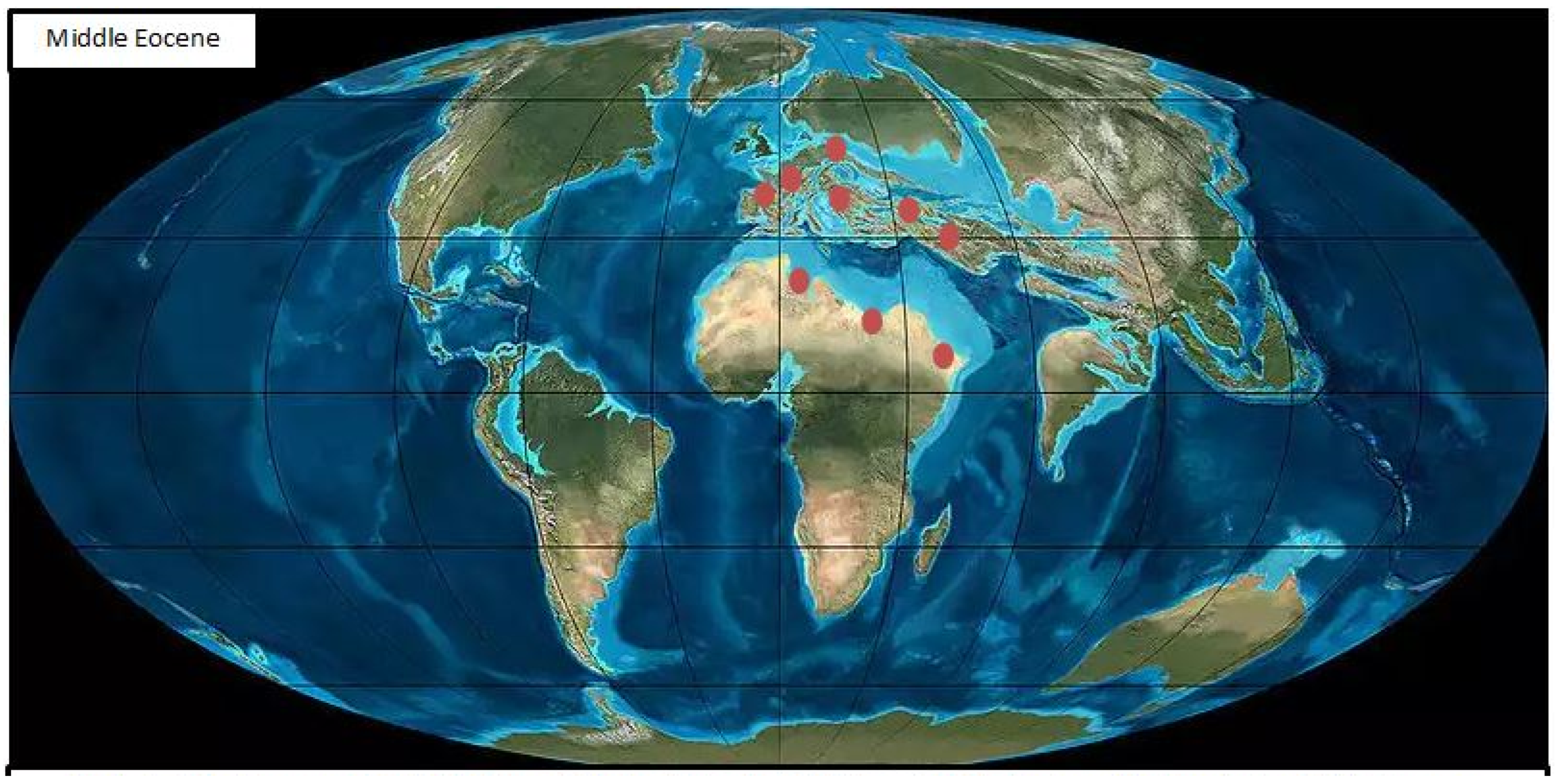 Diversity 16 00672 g007