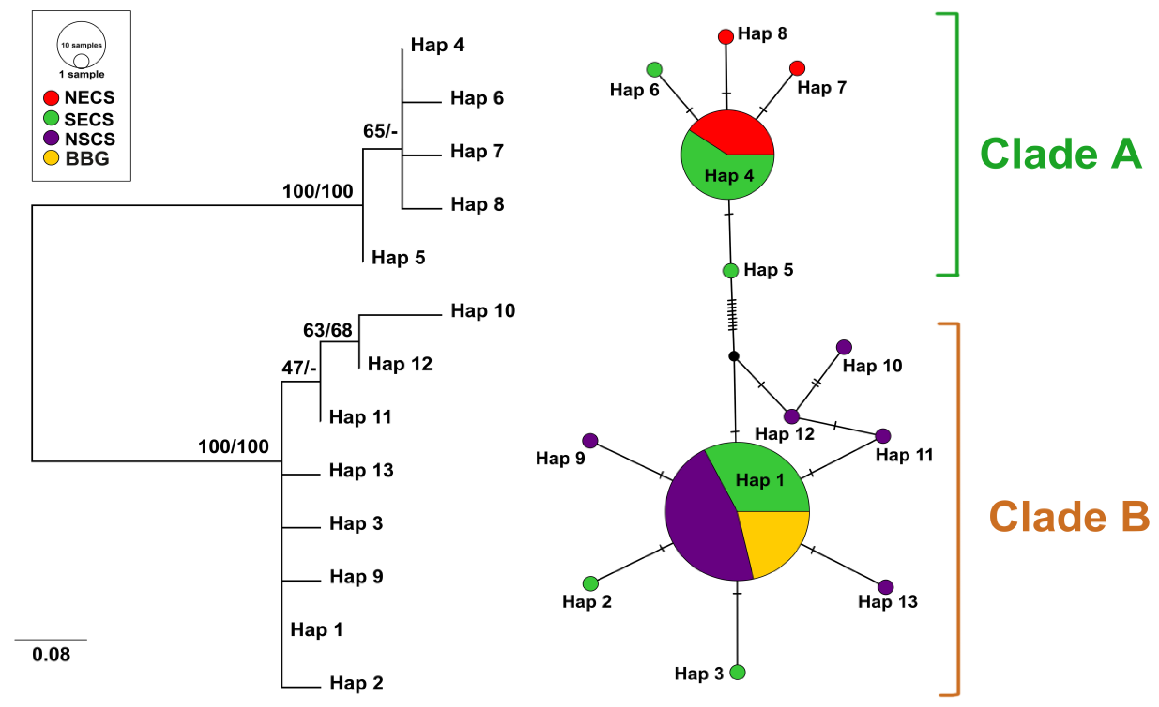 Diversity 16 00674 g003