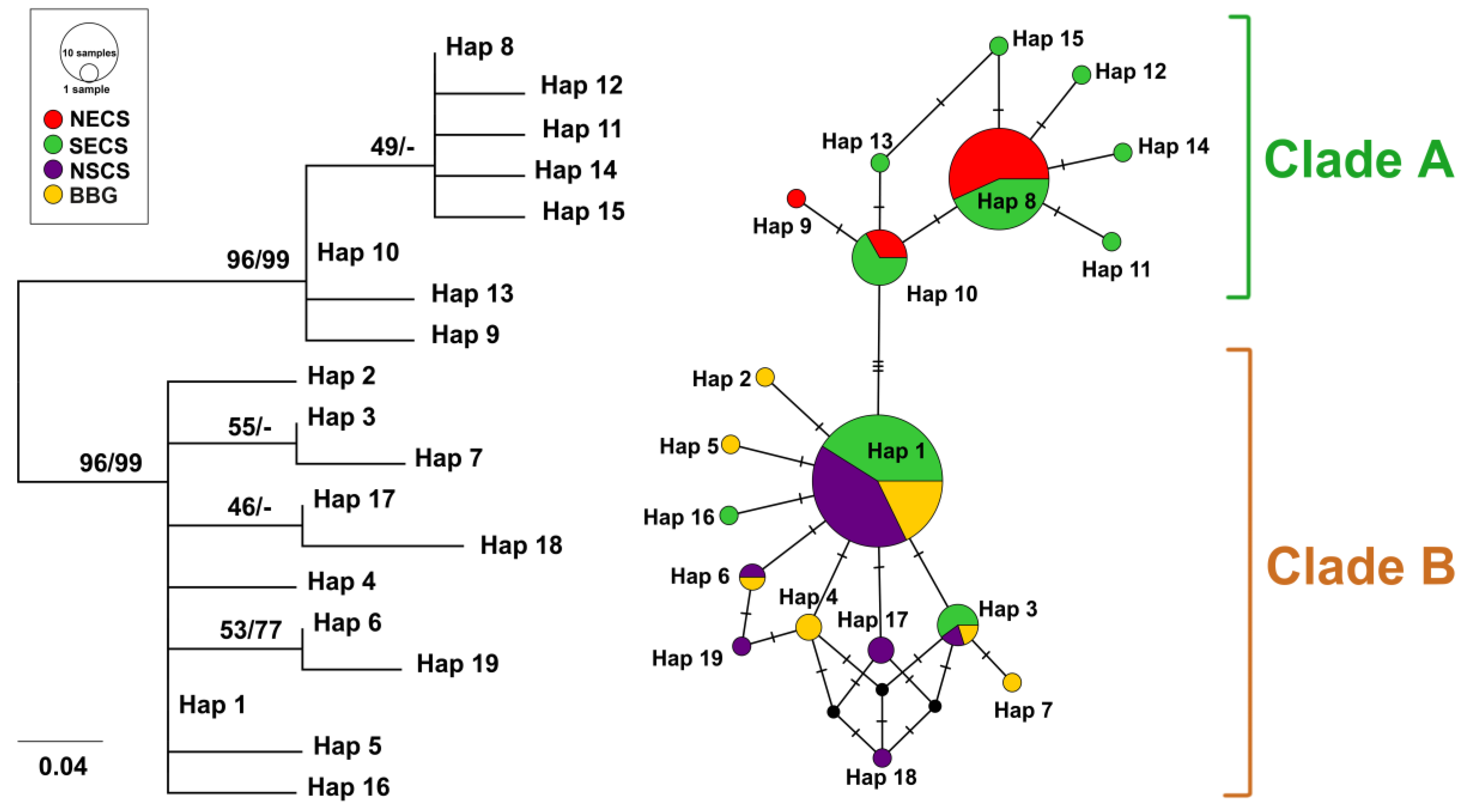 Diversity 16 00674 g004
