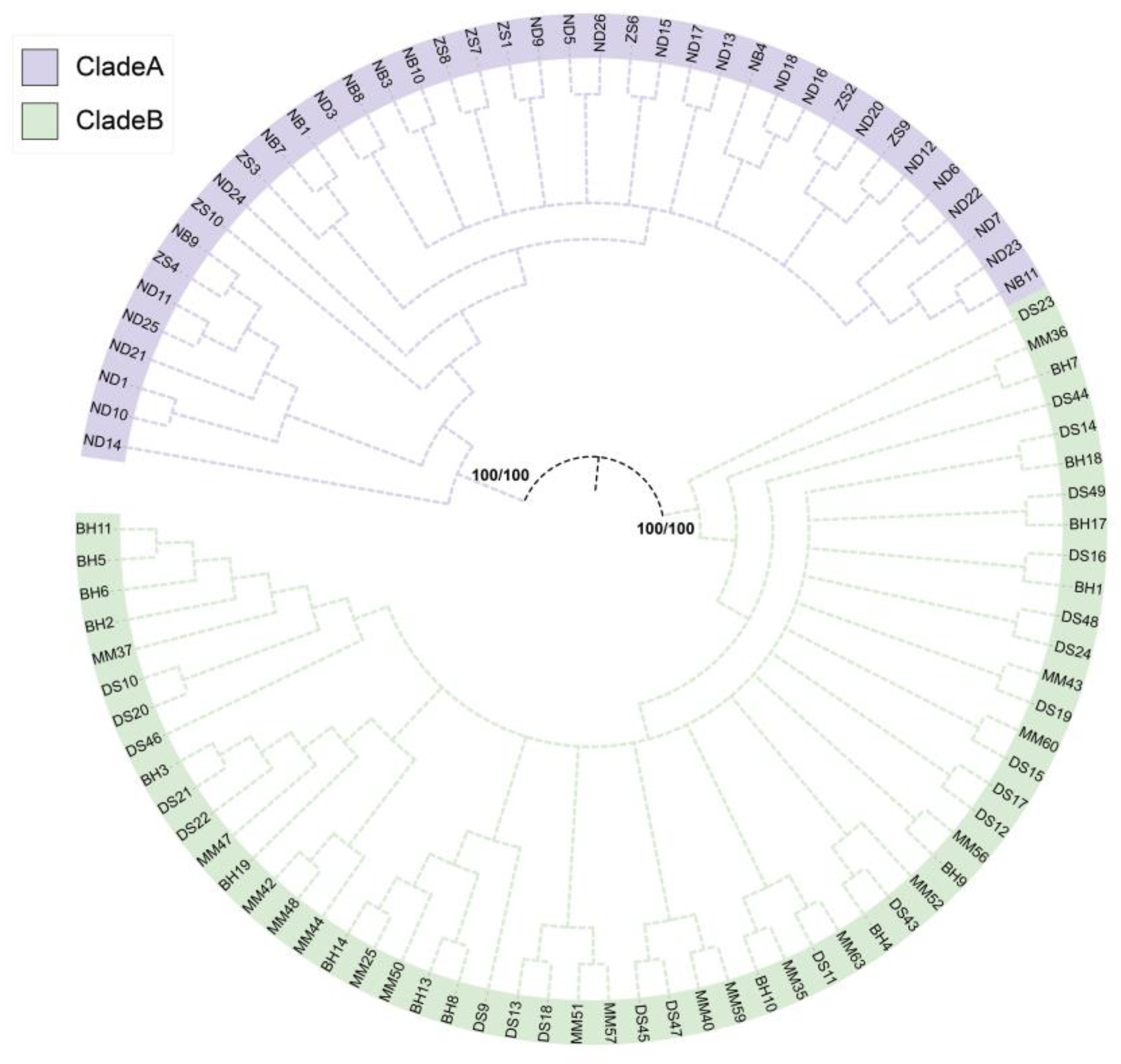 Diversity 16 00674 g005