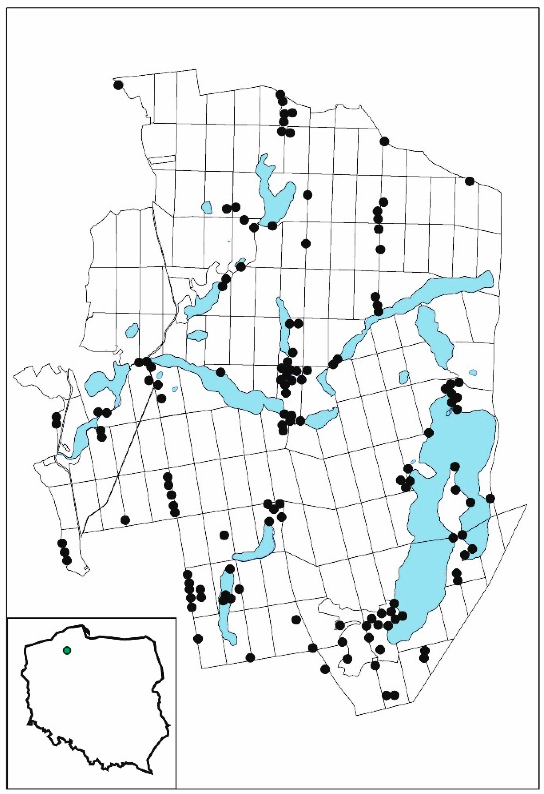 Diversity 16 00678 g001