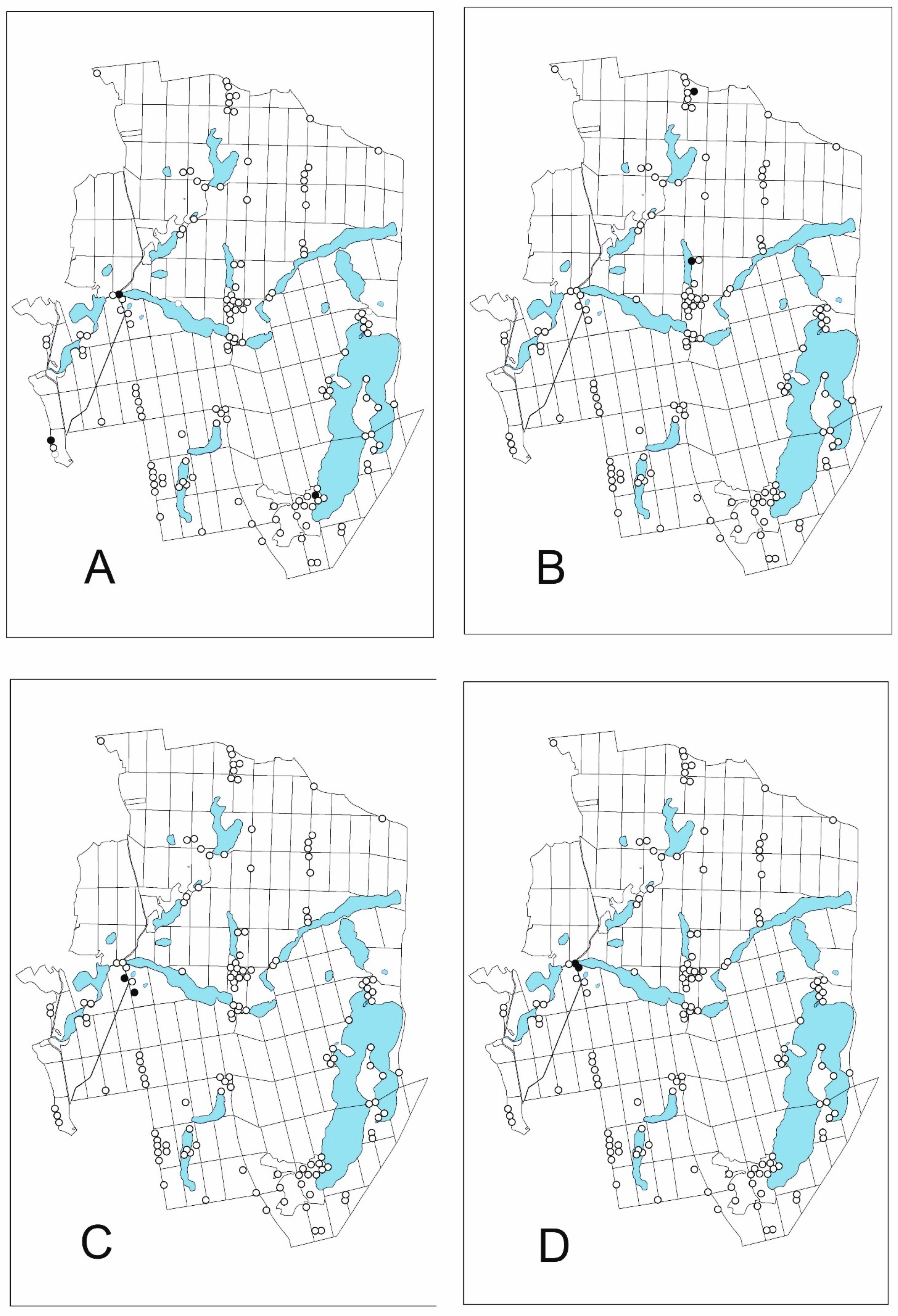 Diversity 16 00678 g008