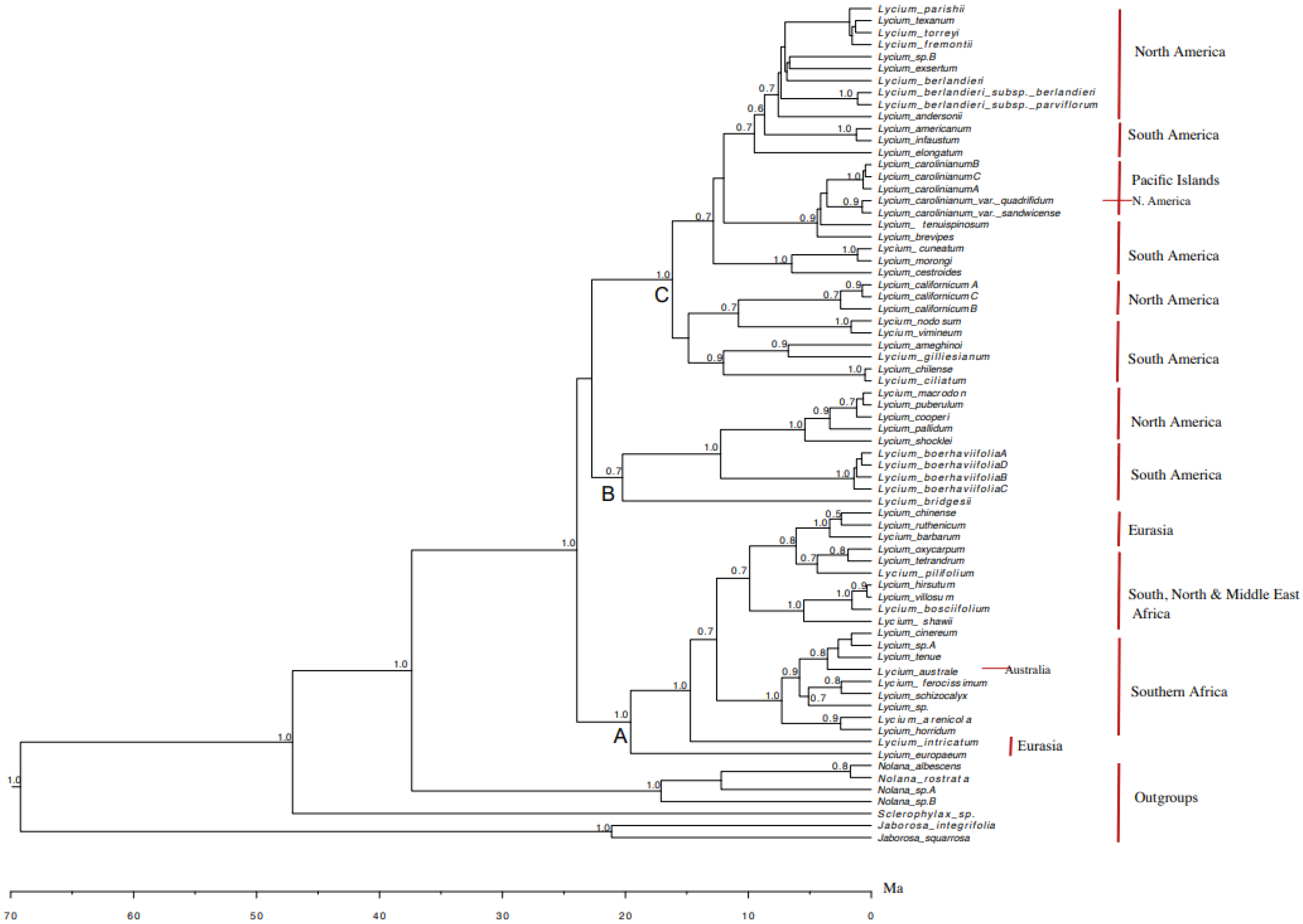 Diversity 16 00680 g001
