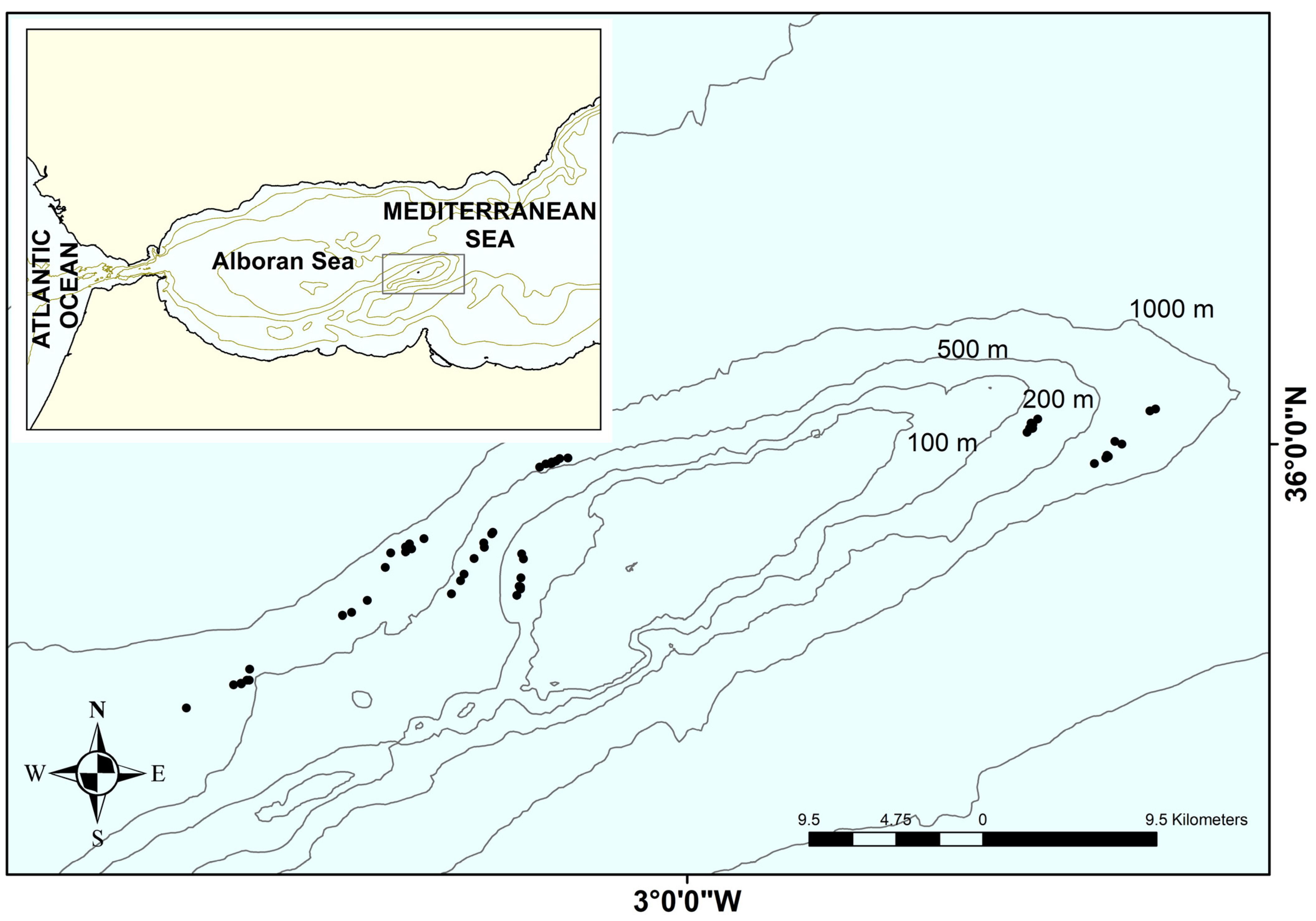 Diversity 16 00686 g001