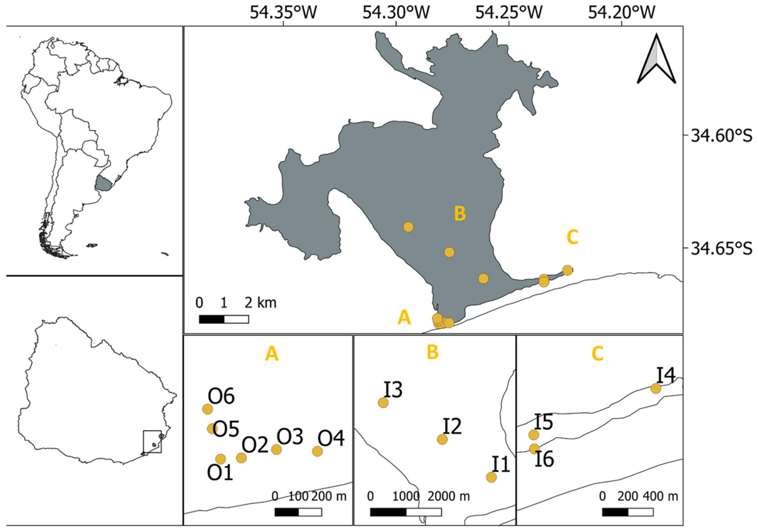 Diversity 16 00688 g001