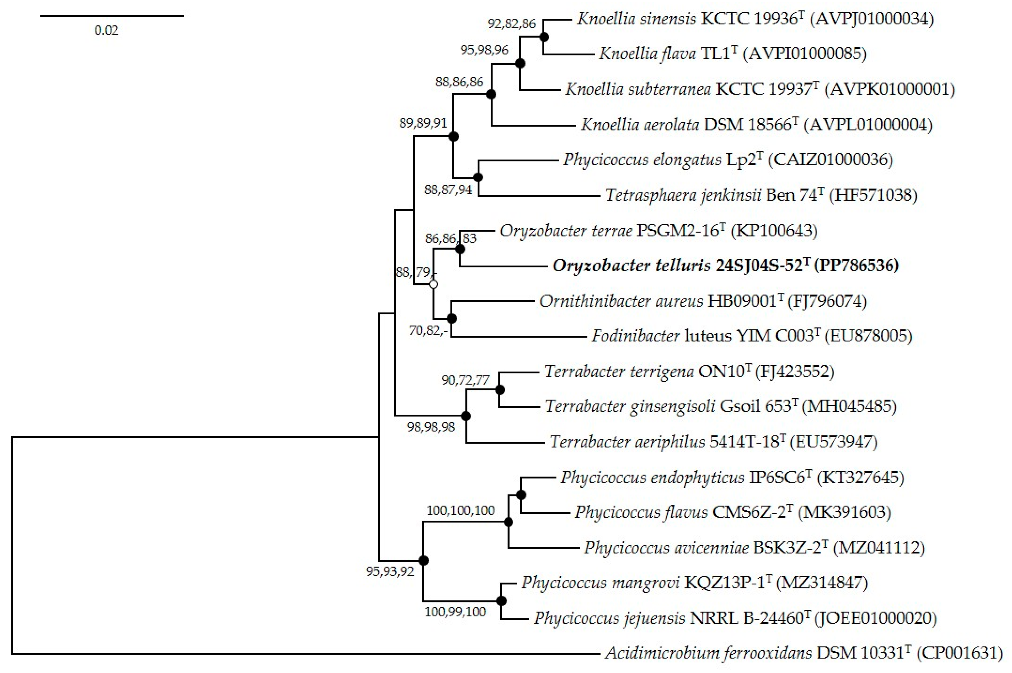 Diversity 16 00689 g001