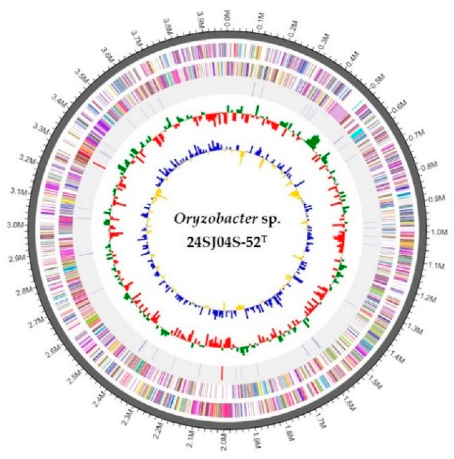 Diversity 16 00689 g003