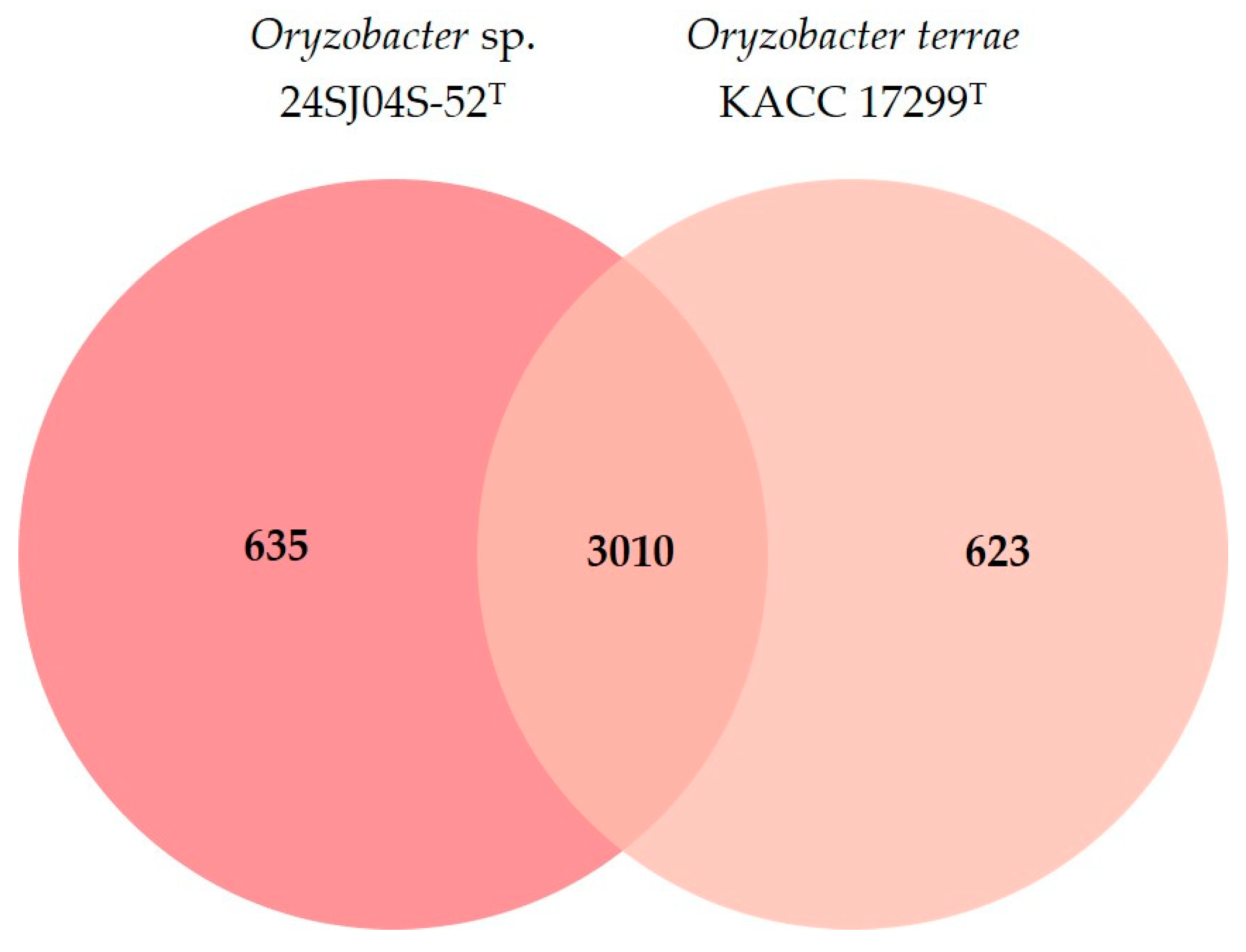 Diversity 16 00689 g004