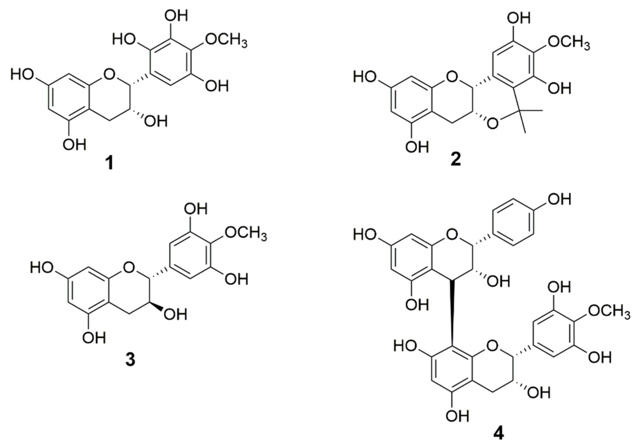 Diversity 16 00694 g001