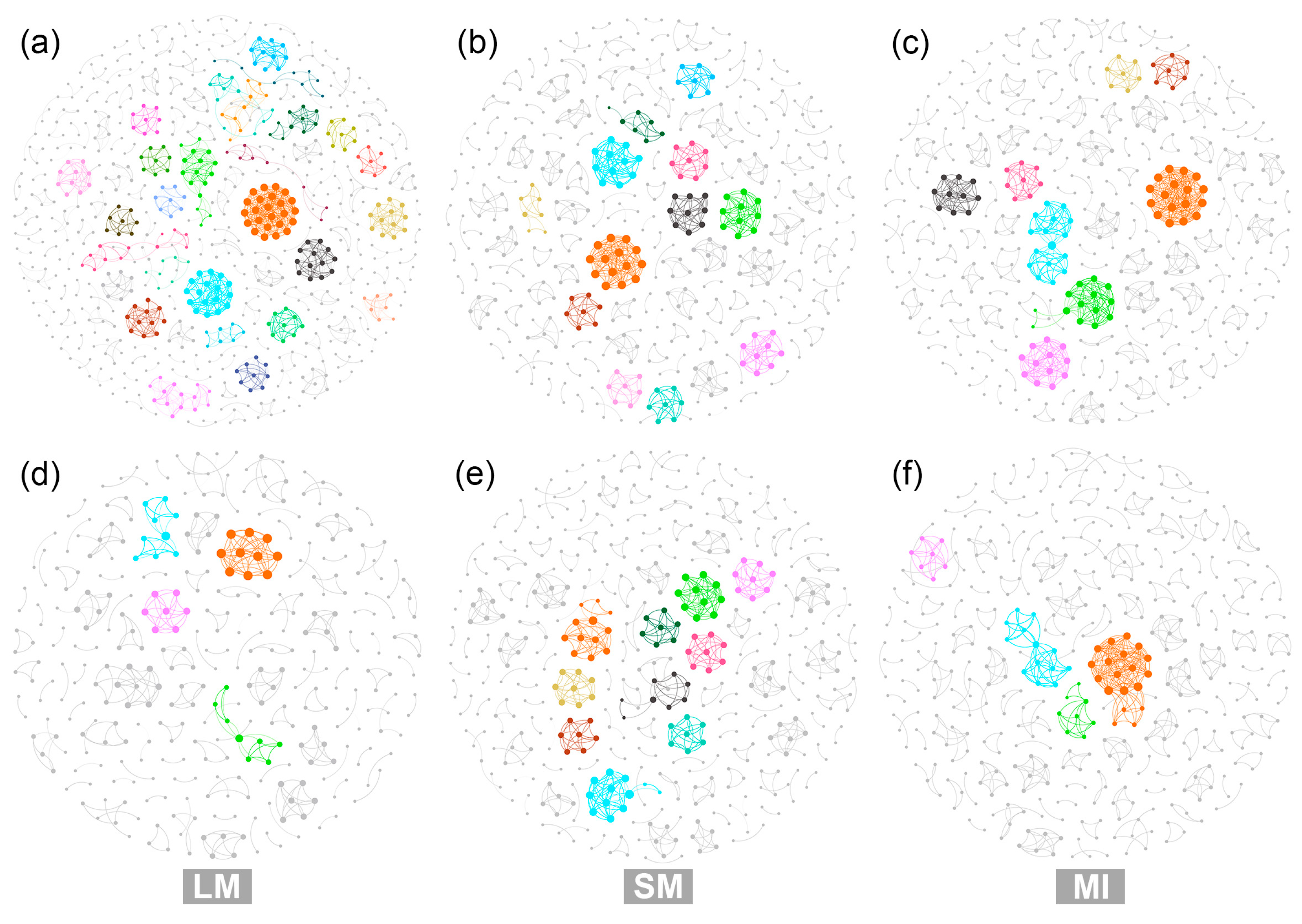 Diversity 16 00696 g004