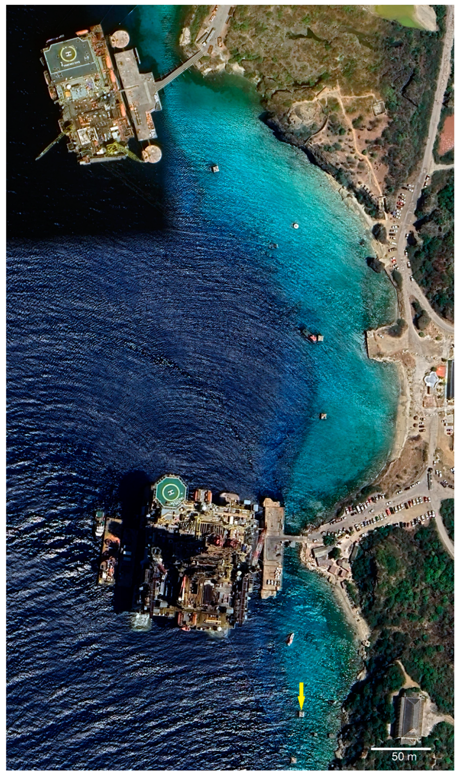 Diversity 16 00697 g003 Diversity 16 00697 g003