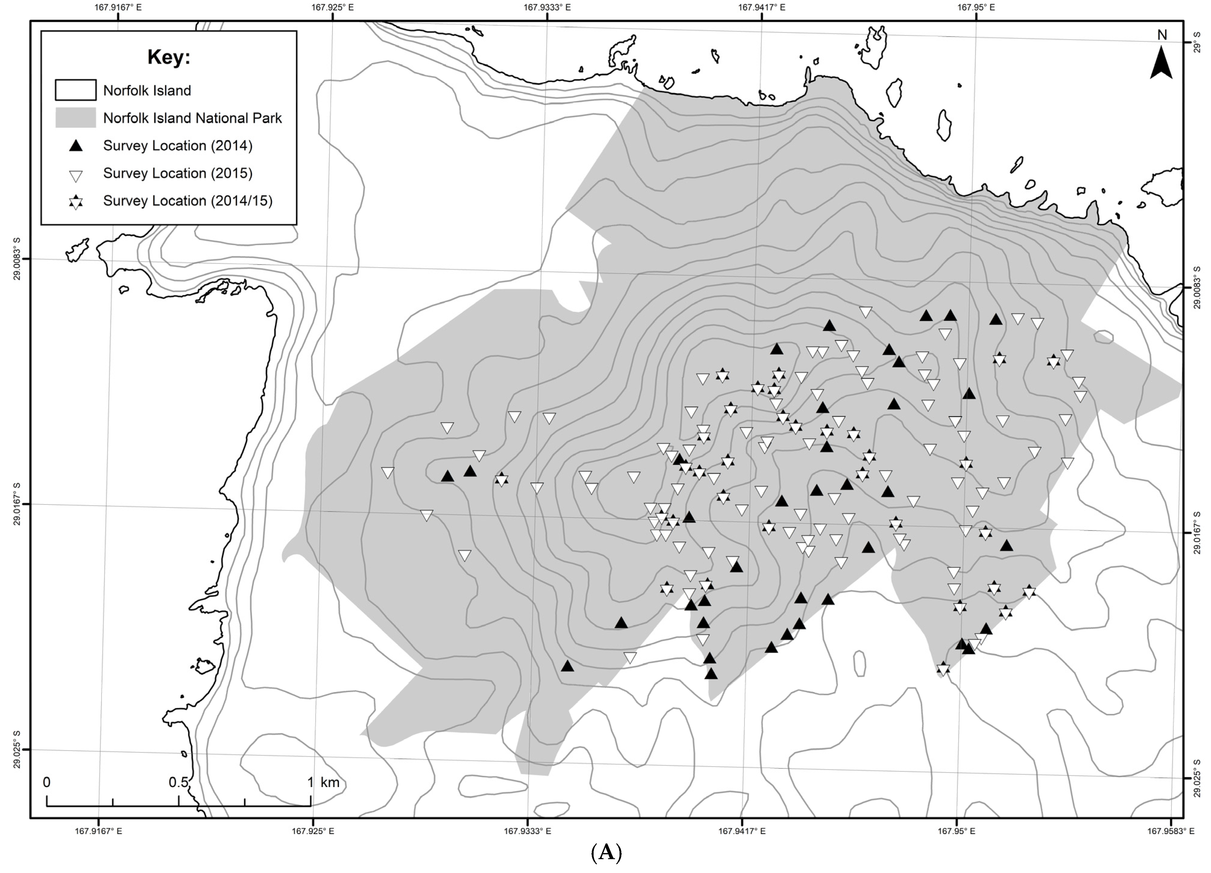 Diversity 16 00698 g001a