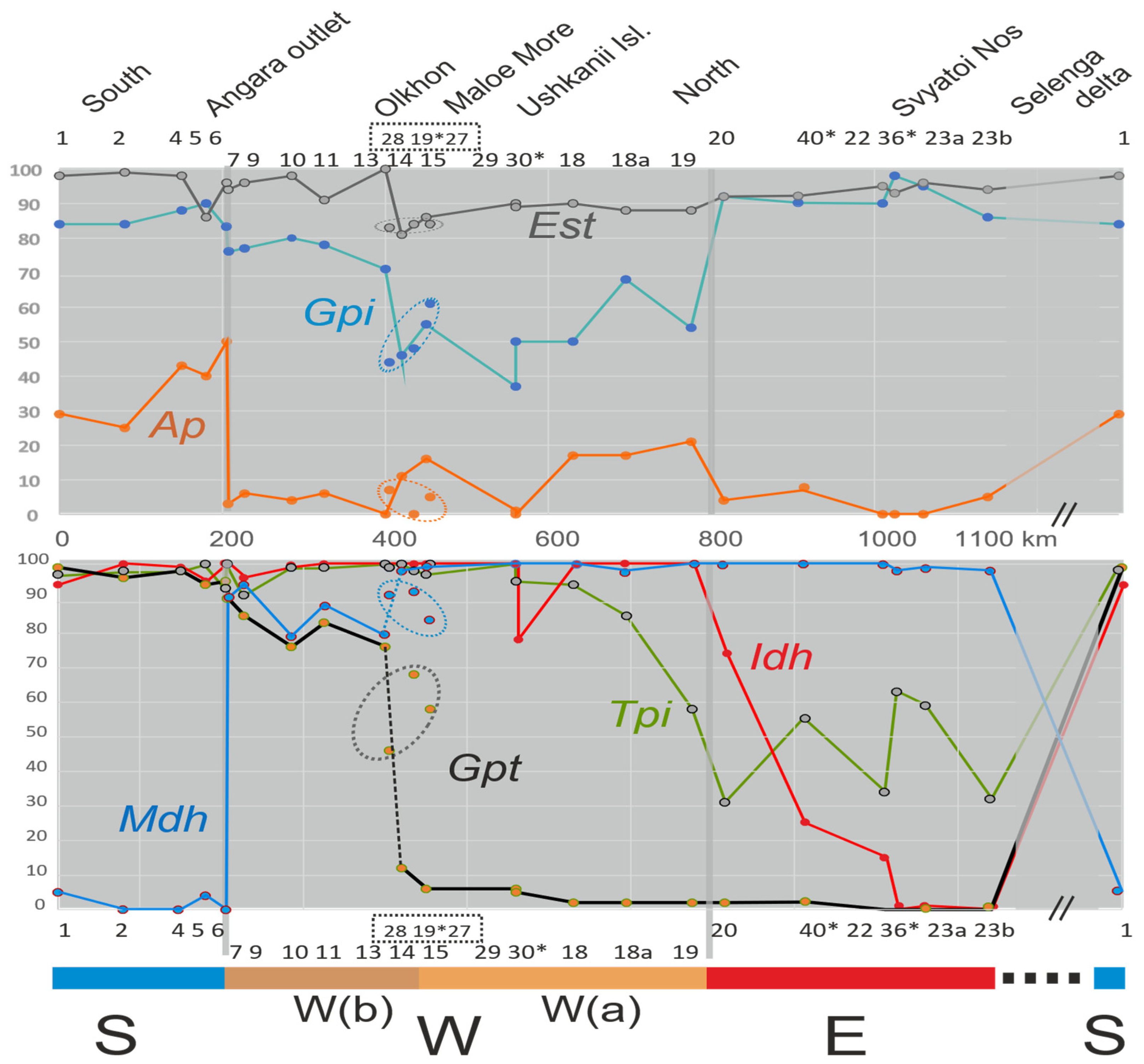 Diversity 16 00706 g004