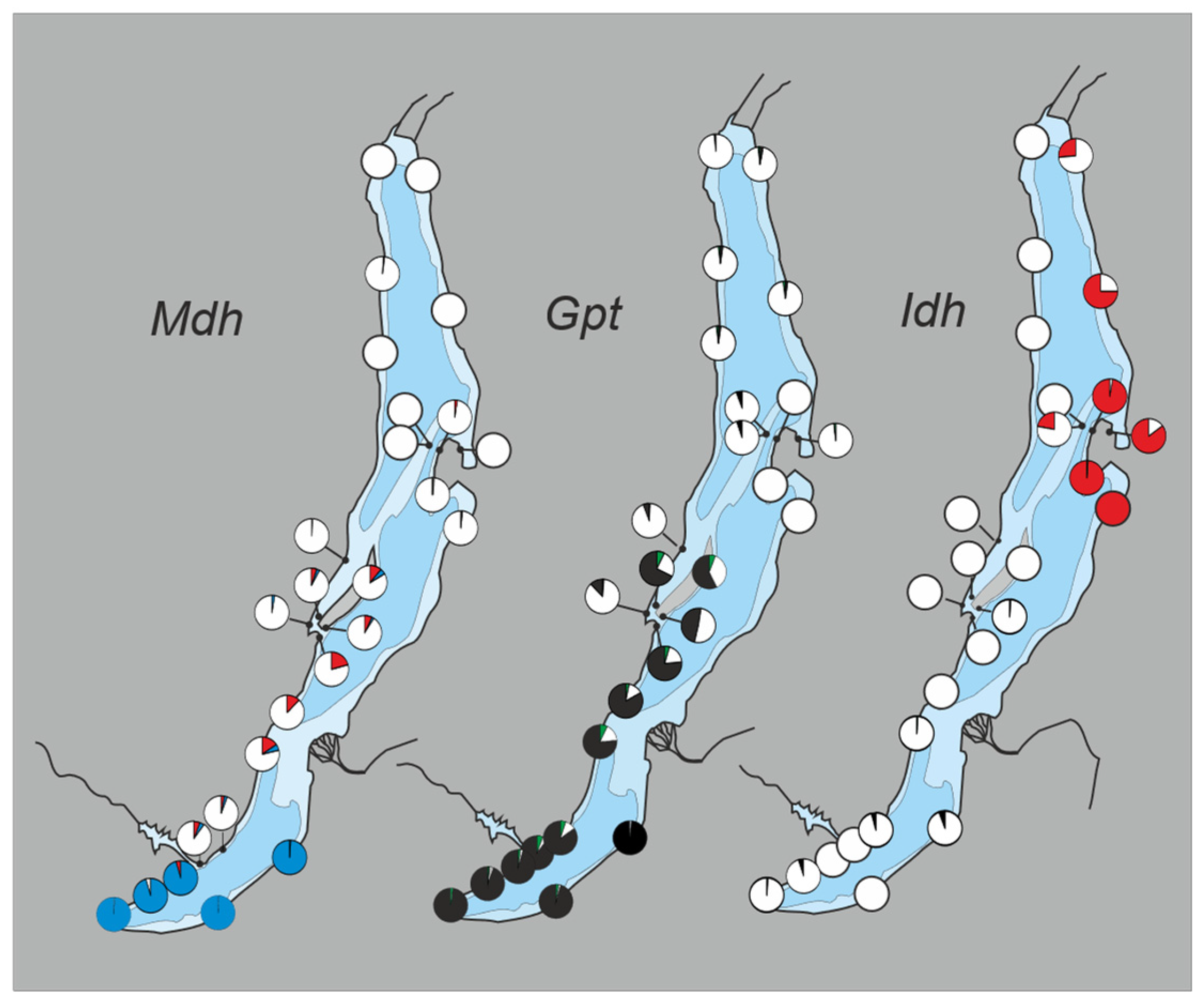 Diversity 16 00706 g005