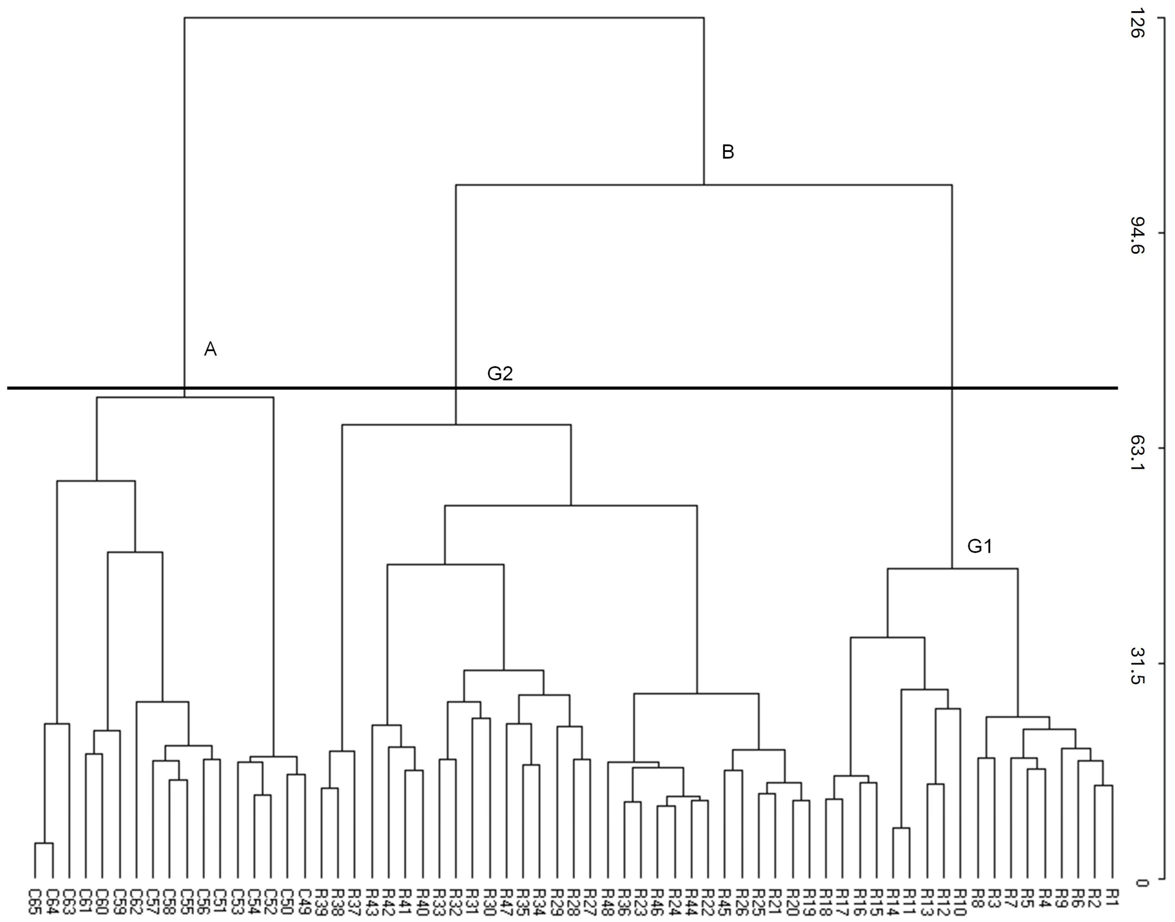 Diversity 16 00708 g006
