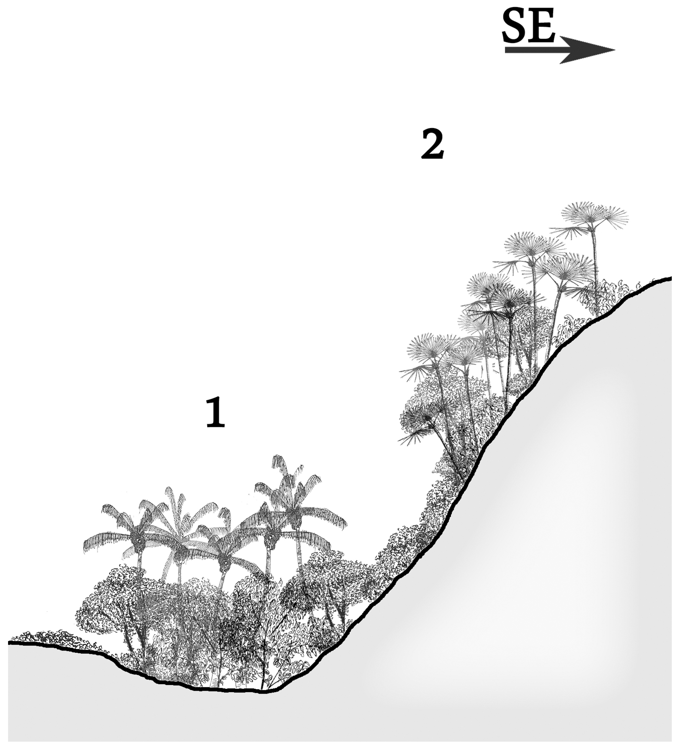 Diversity 16 00708 g009