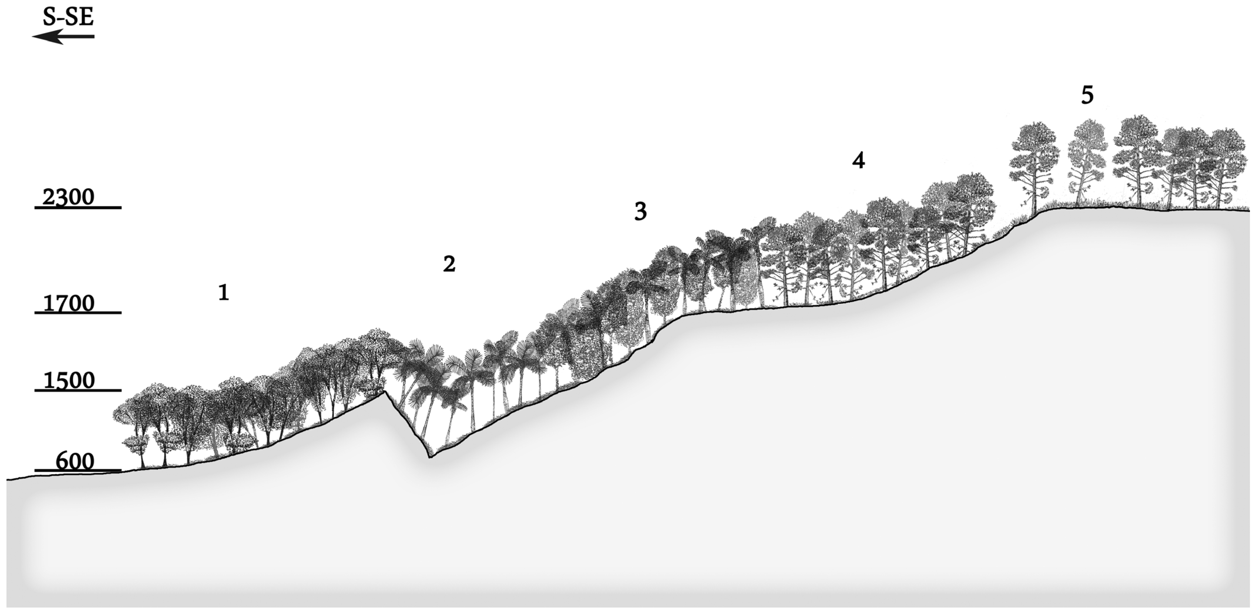 Diversity 16 00708 g010