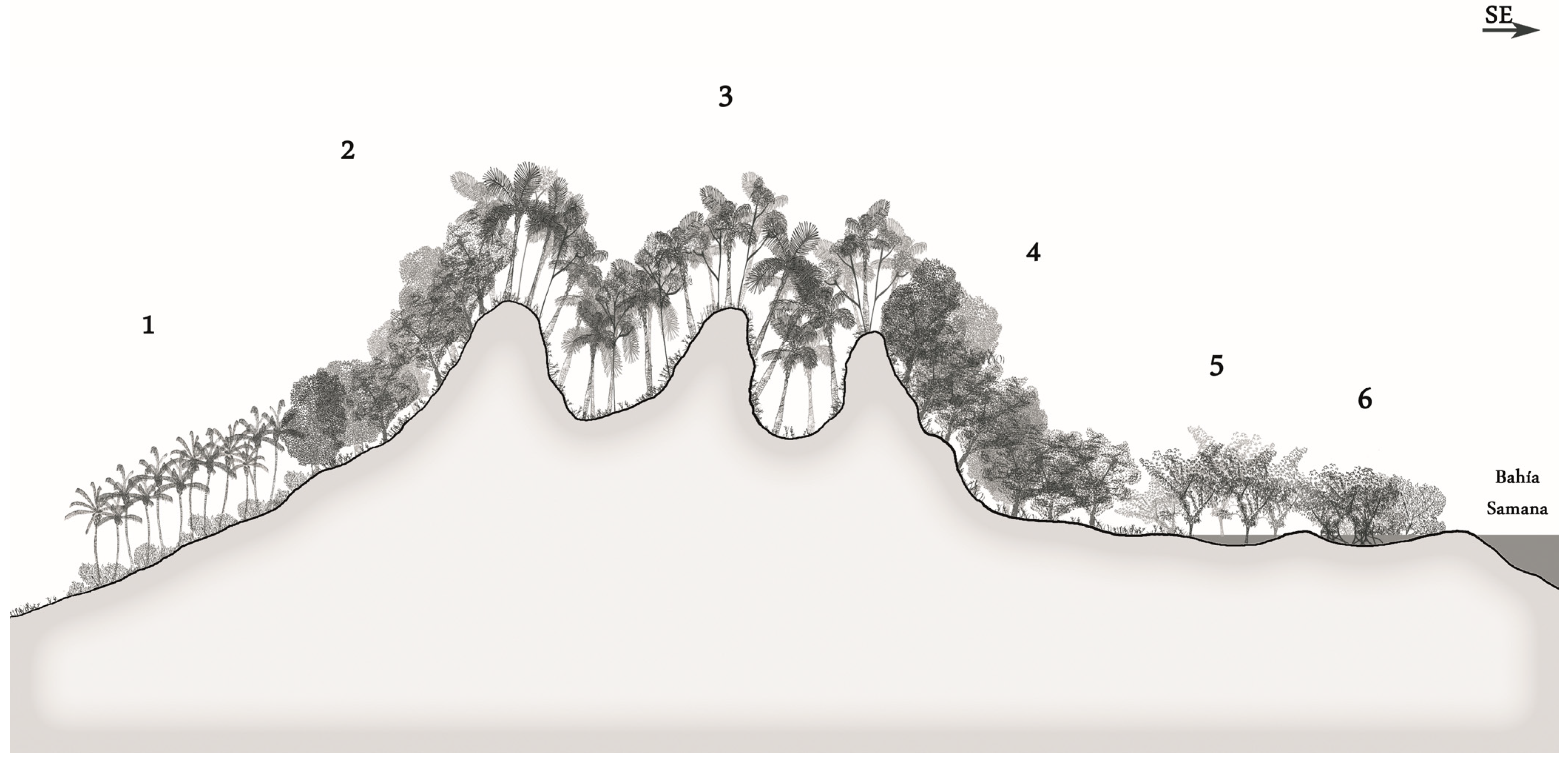 Diversity 16 00708 g011