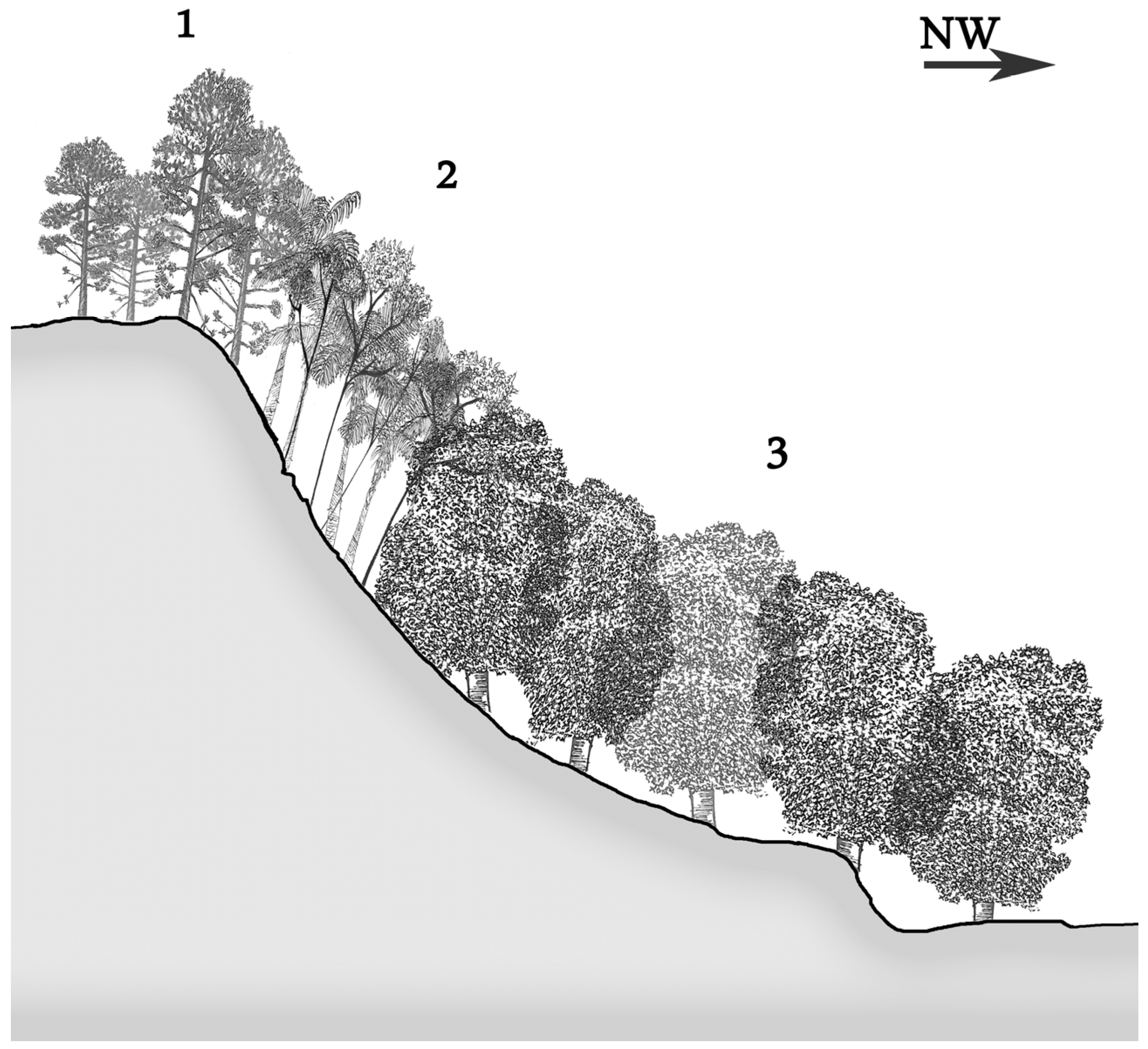 Diversity 16 00708 g012