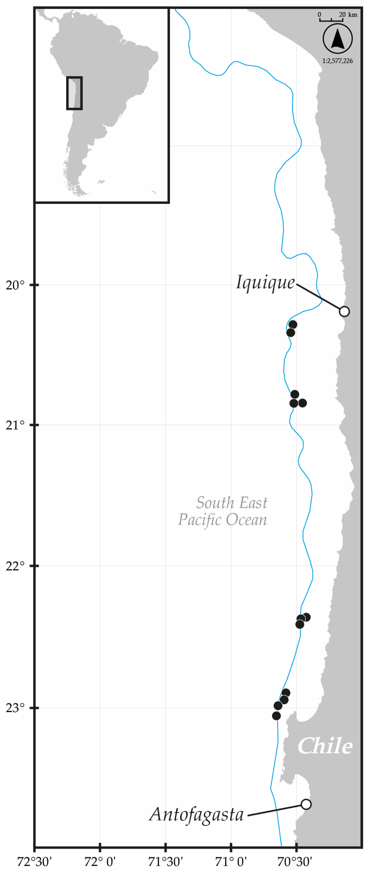 Diversity 16 00709 g001 Diversity 16 00709 g001