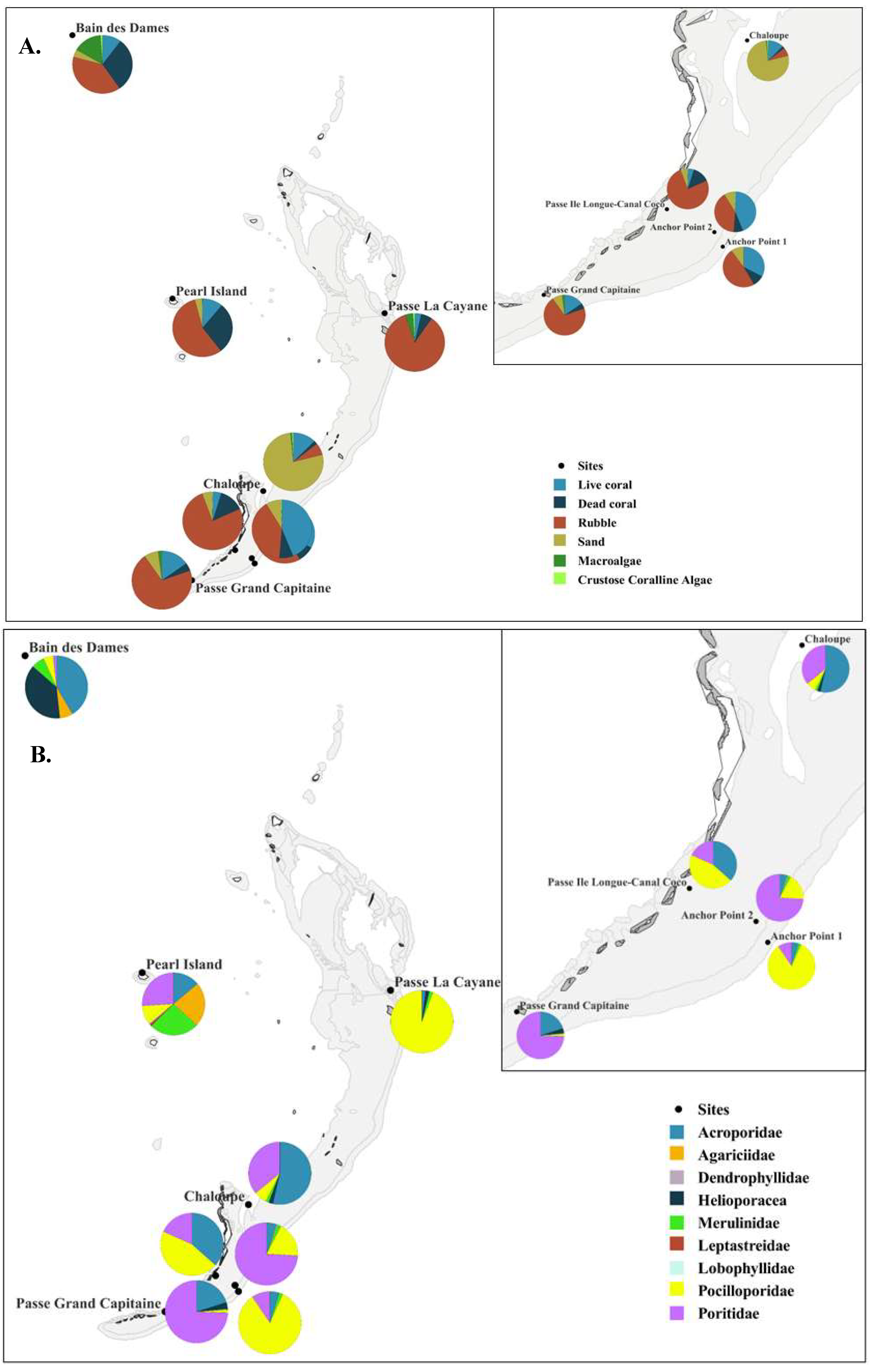 Diversity 16 00710 g003