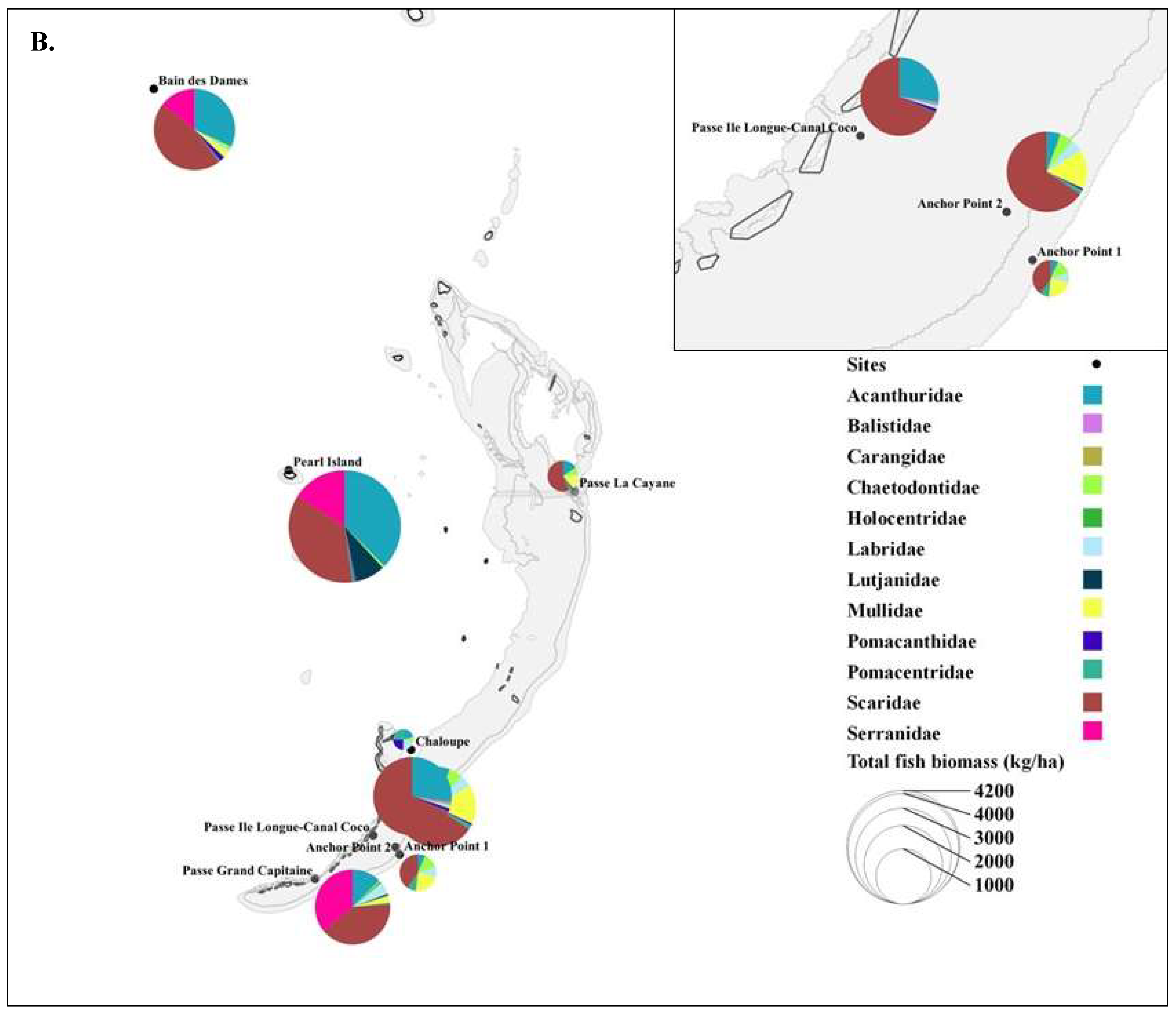 Diversity 16 00710 g006b