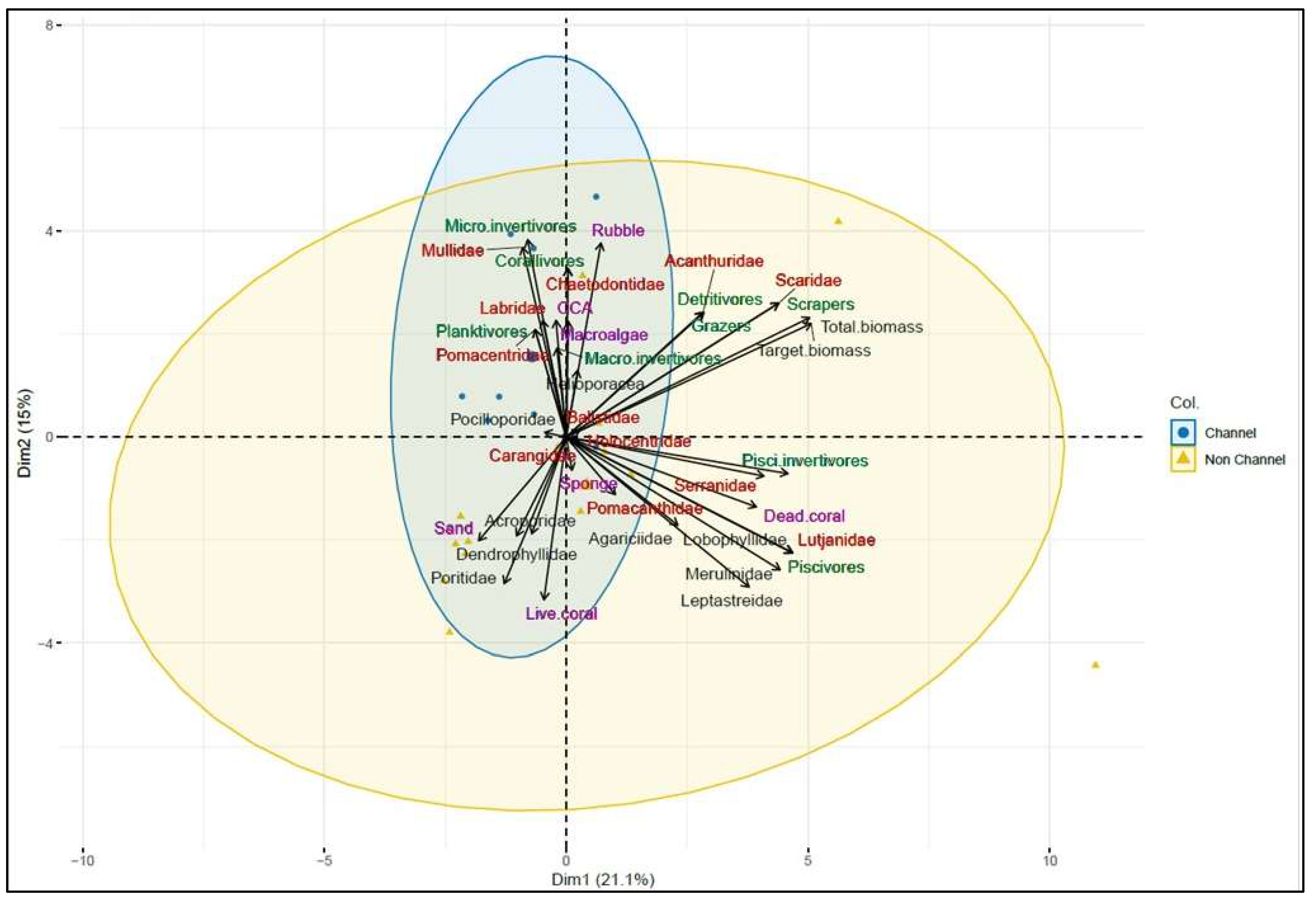 Diversity 16 00710 g008