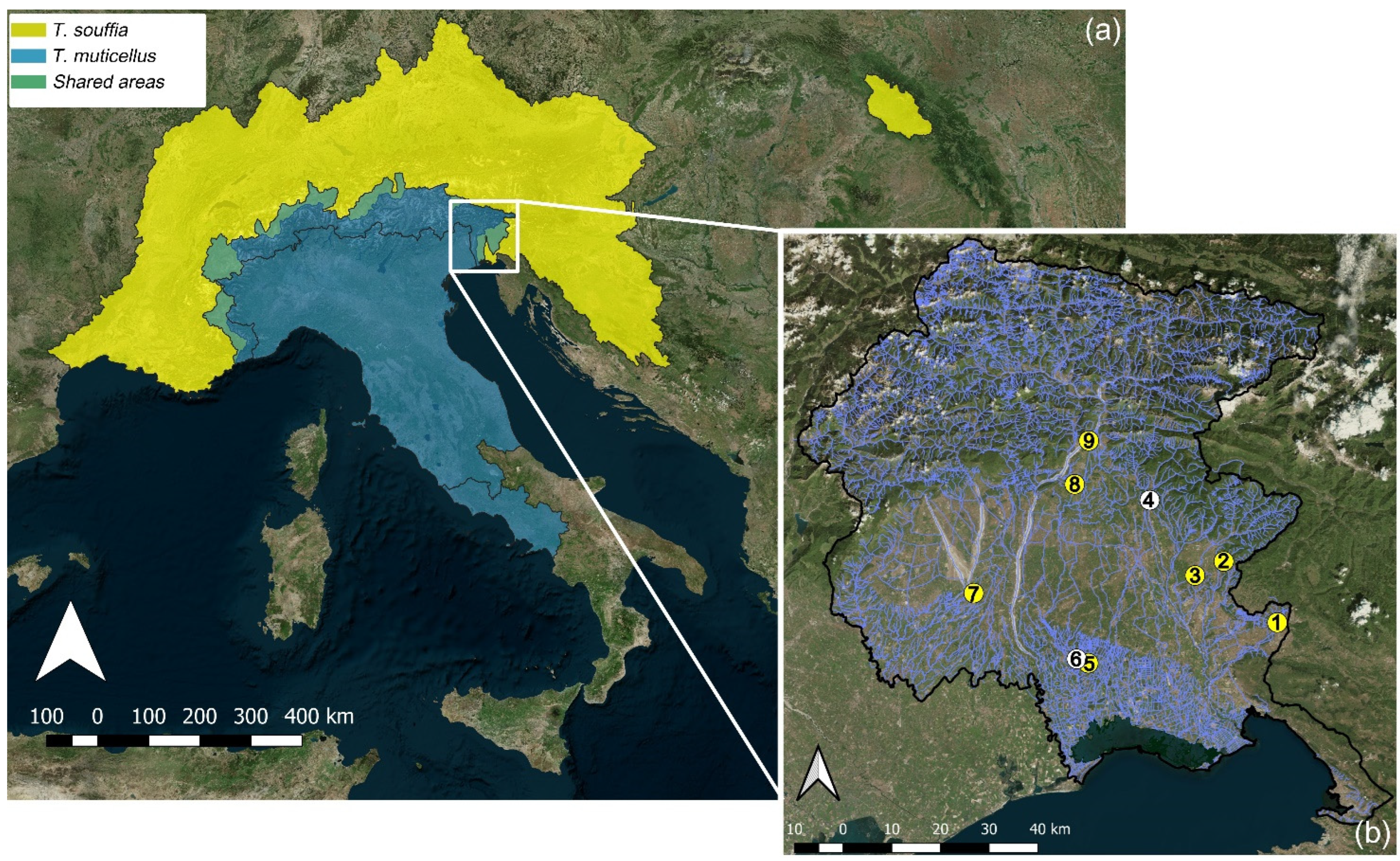 Diversity 16 00713 g001 Diversity 16 00713 g001
