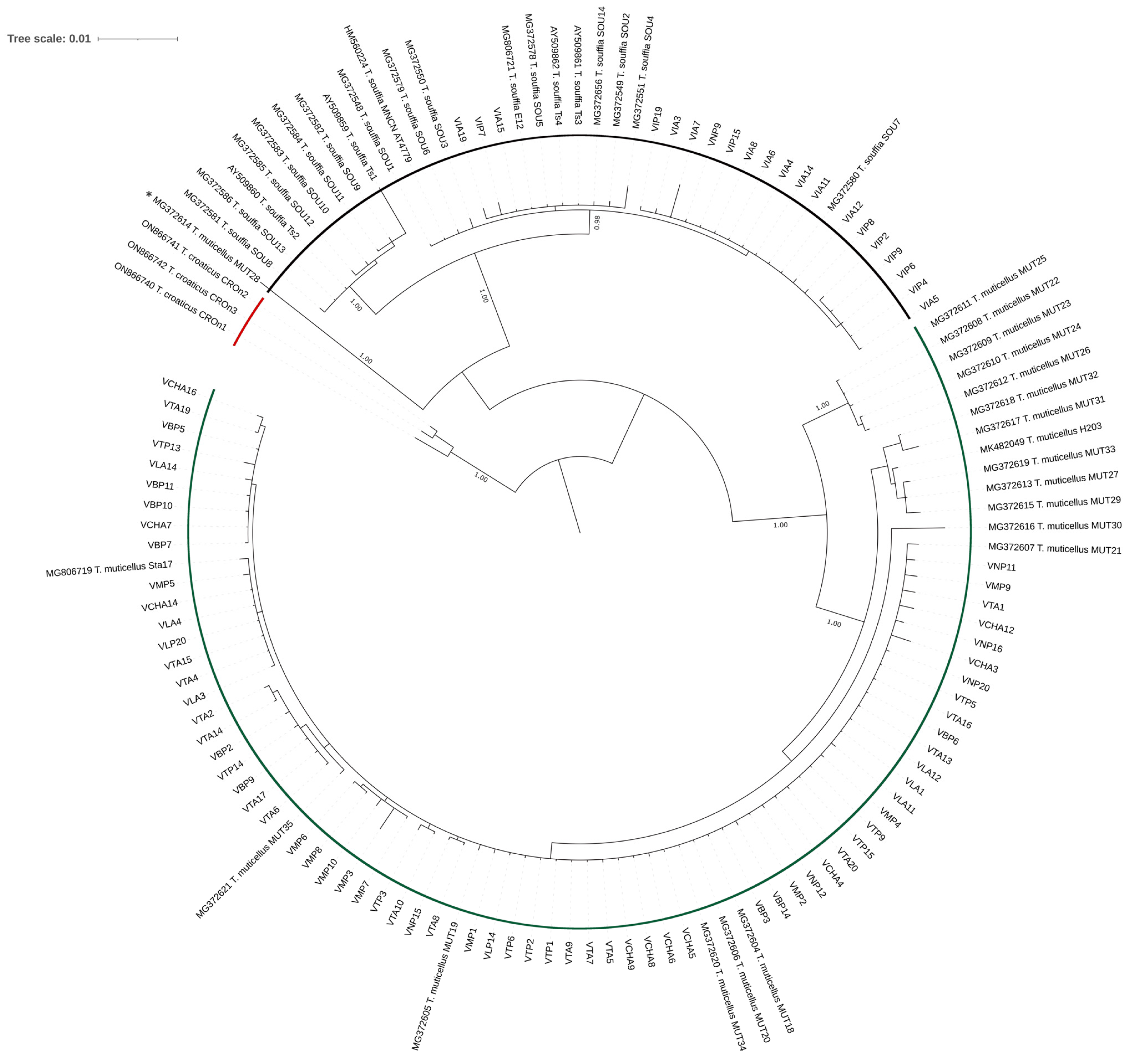 Diversity 16 00713 g005 Diversity 16 00713 g005
