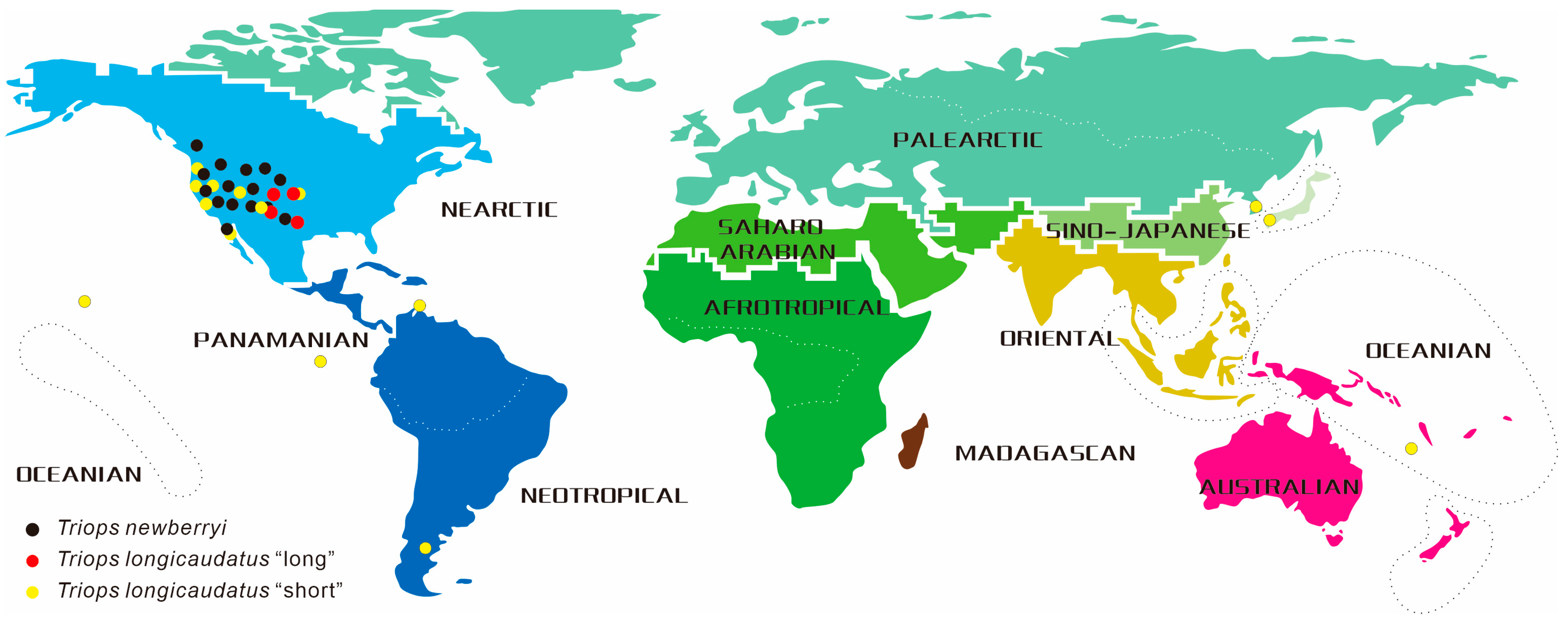 Diversity 16 00715 g001