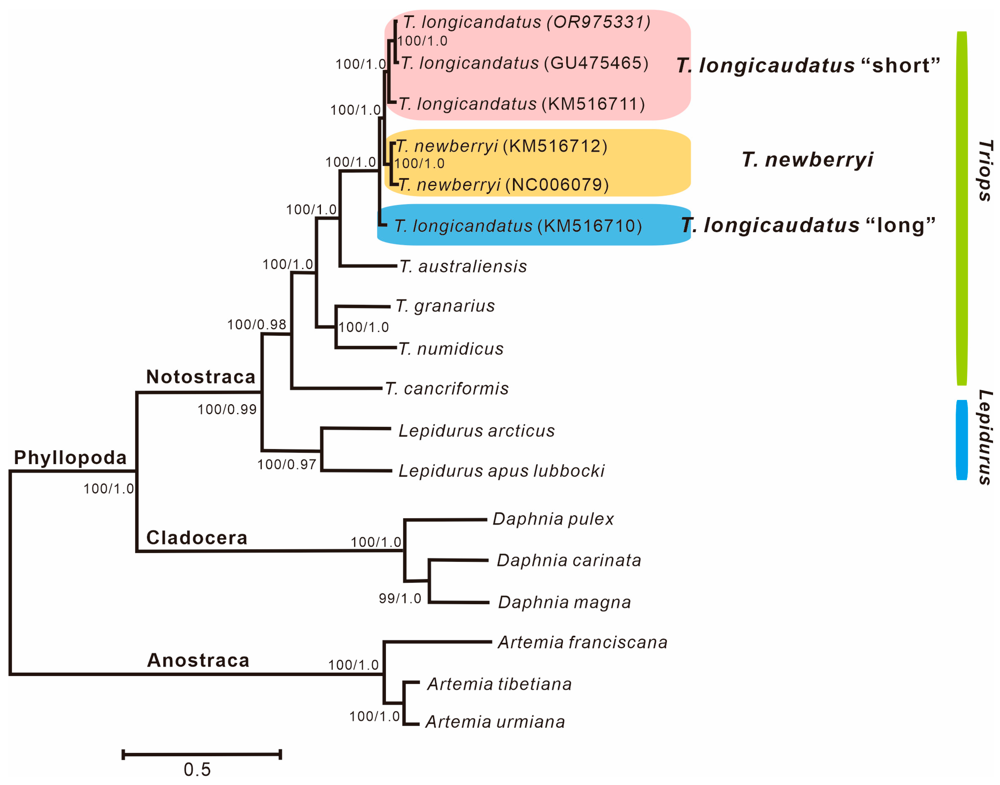 Diversity 16 00715 g003