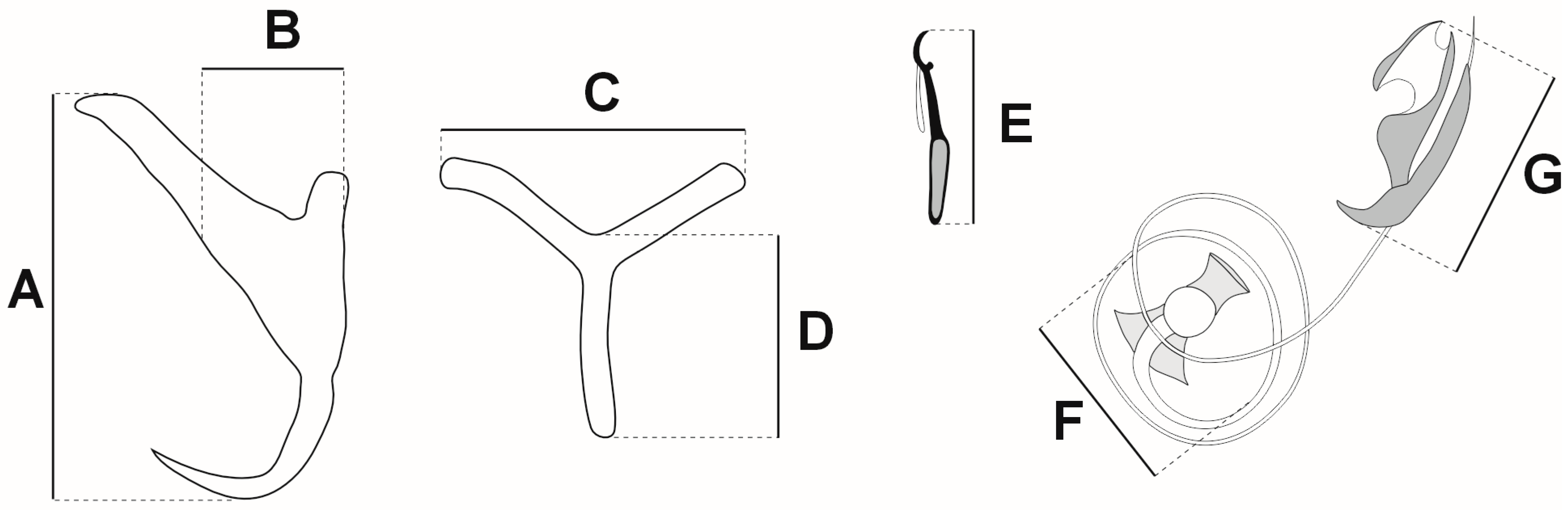 Diversity 16 00716 g001