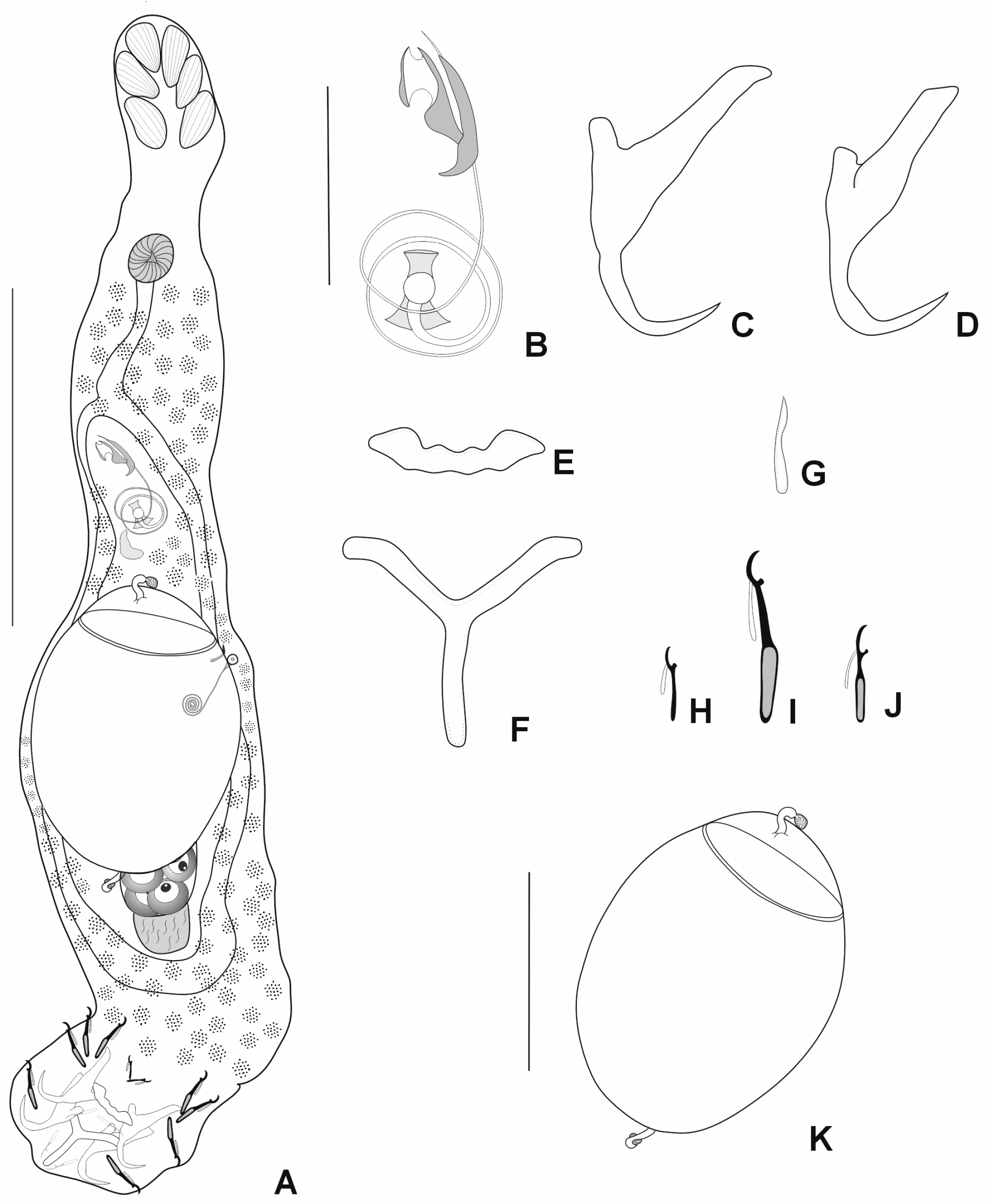 Diversity 16 00716 g002