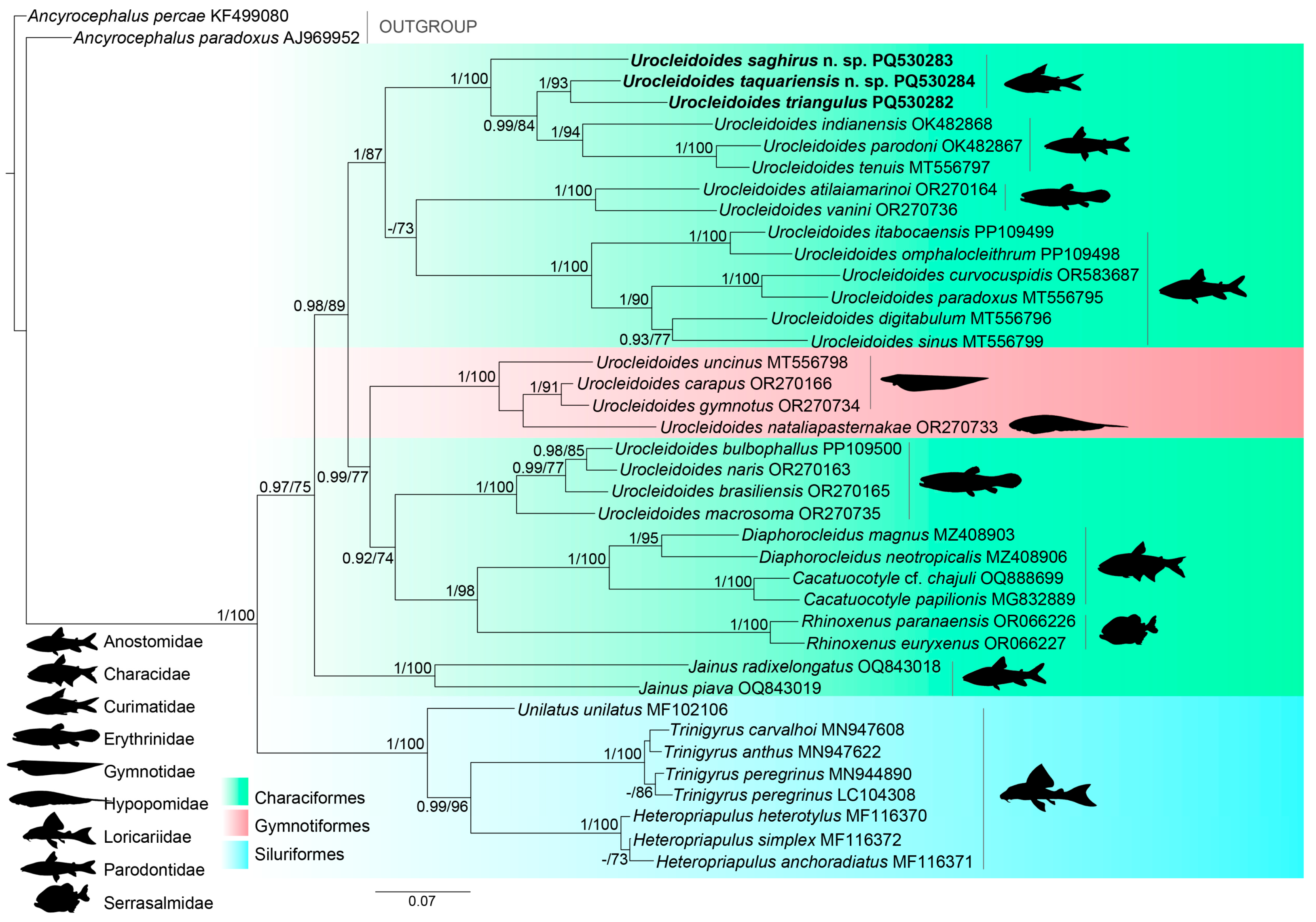 Diversity 16 00716 g007