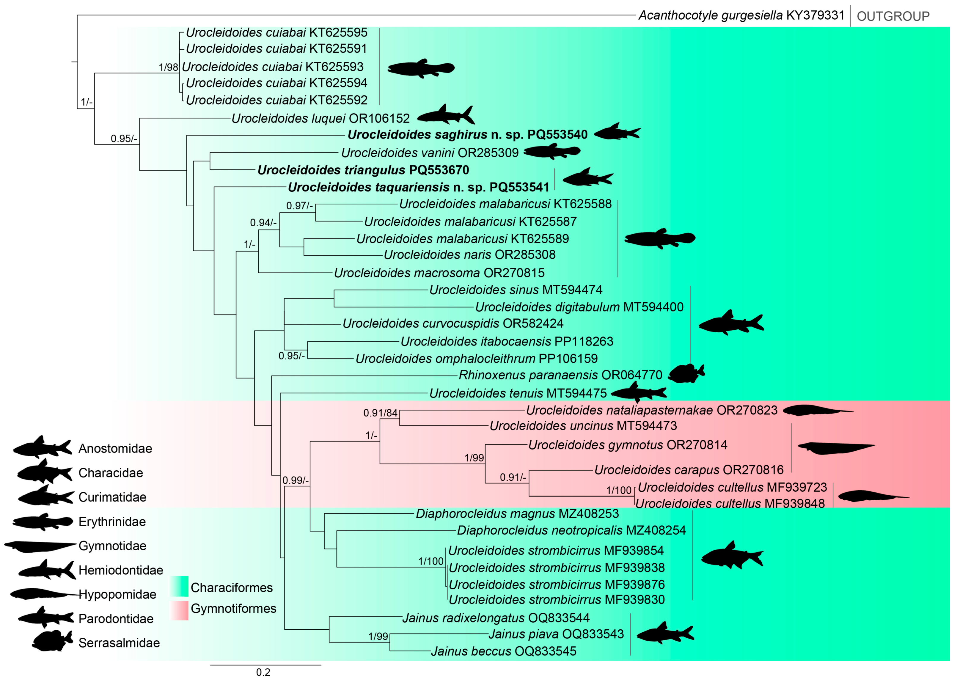 Diversity 16 00716 g008