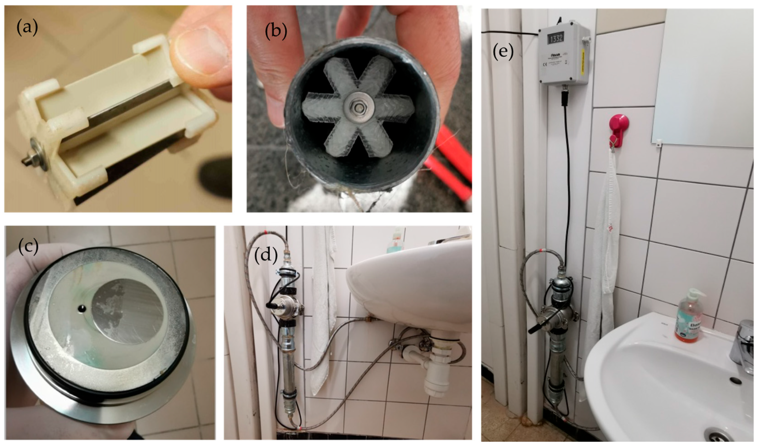 Diversity 16 00720 g001