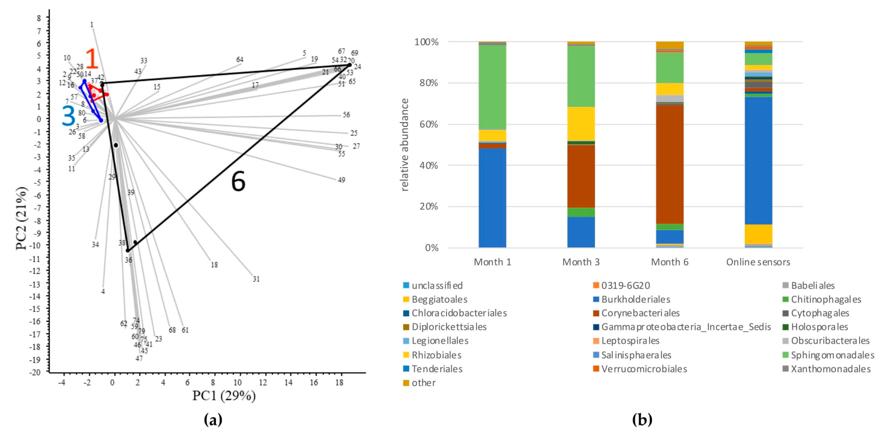 Diversity 16 00720 g005