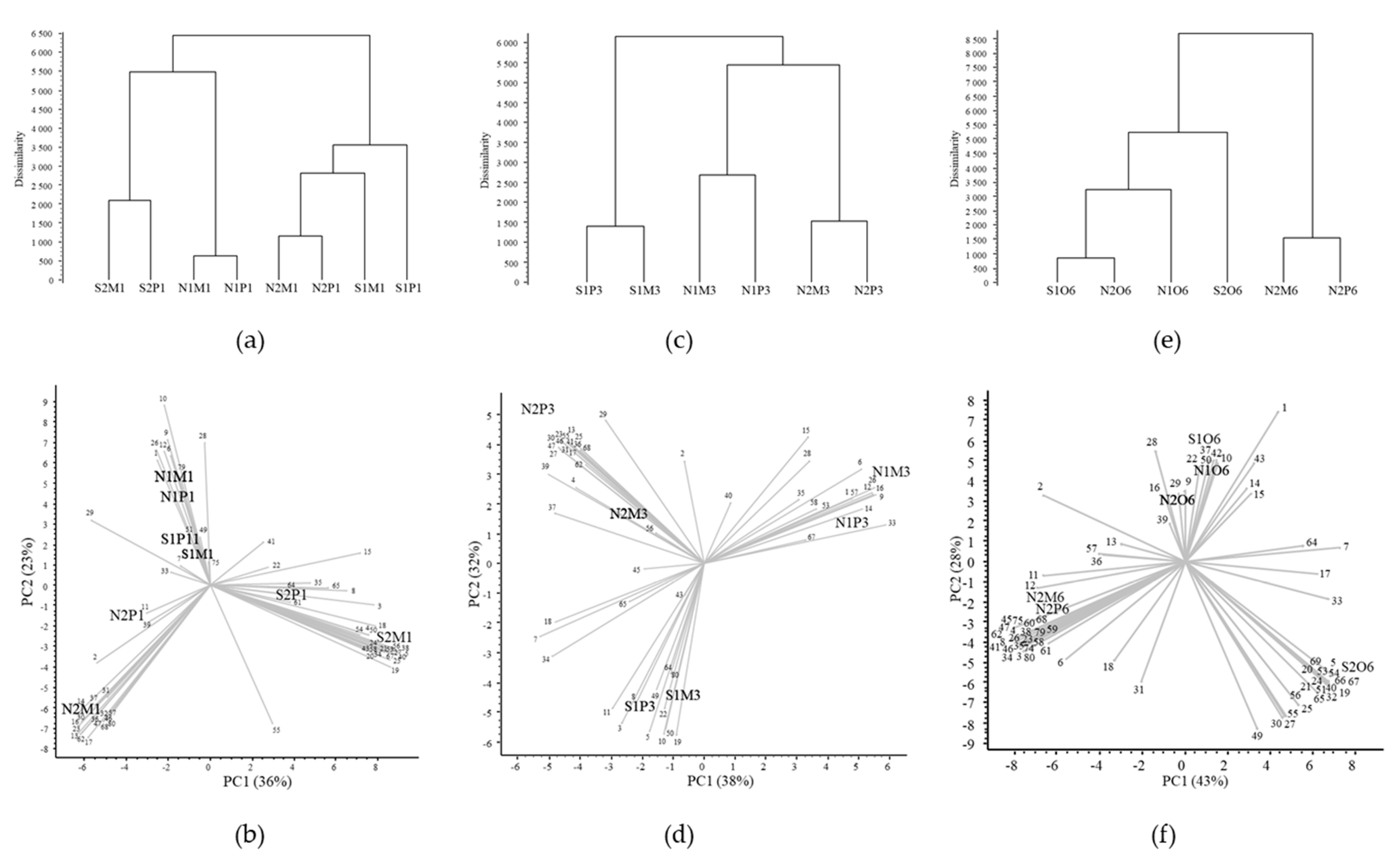 Diversity 16 00720 g006