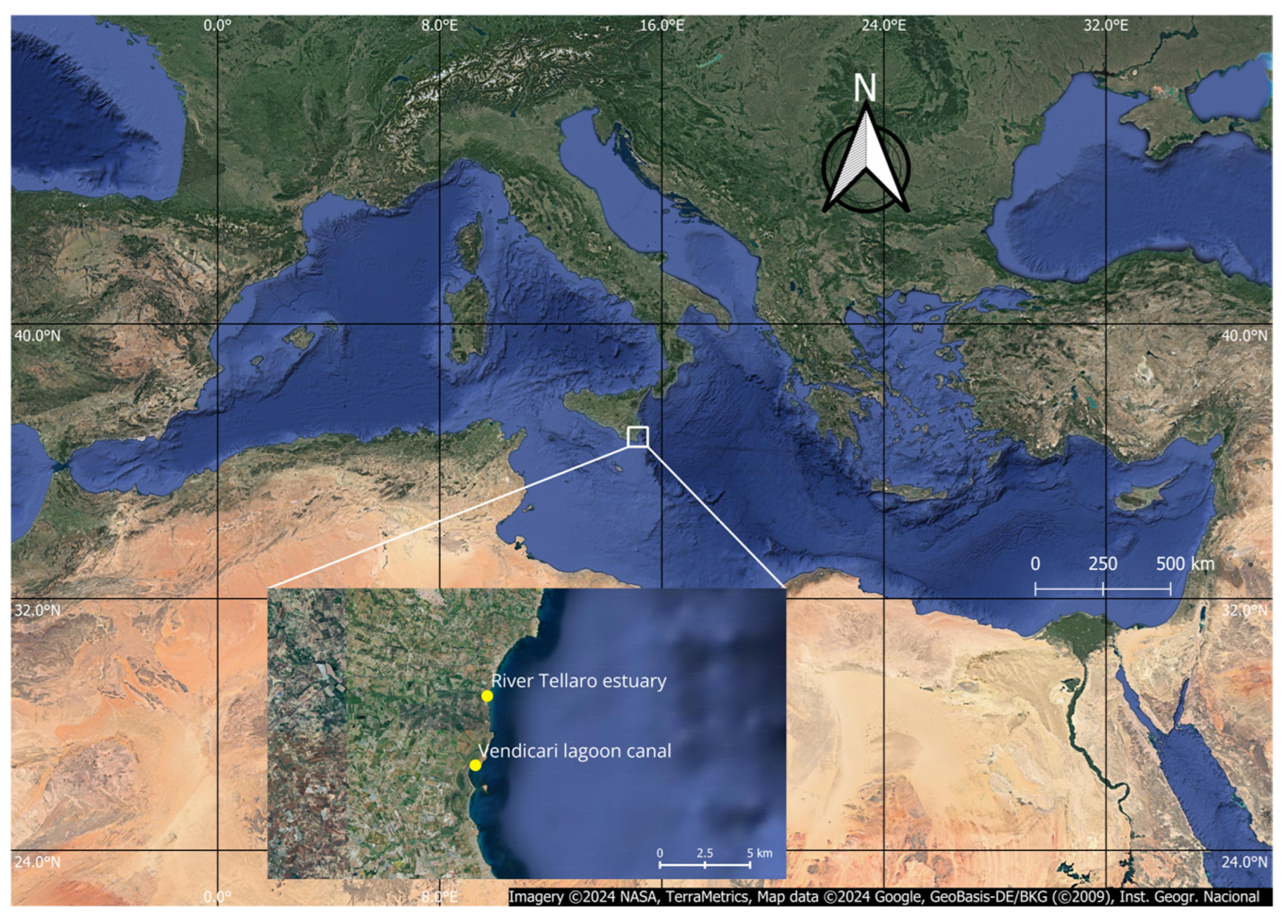 Diversity 16 00724 g001